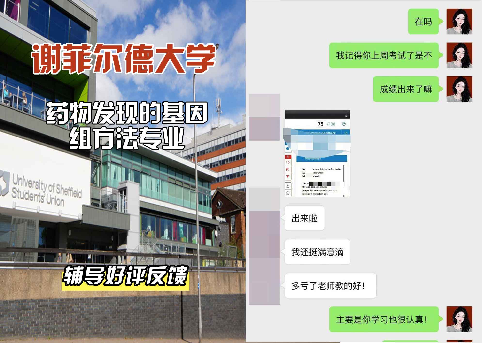 谢菲尔德大学谢大药物发现的基因组方法辅导好评反馈