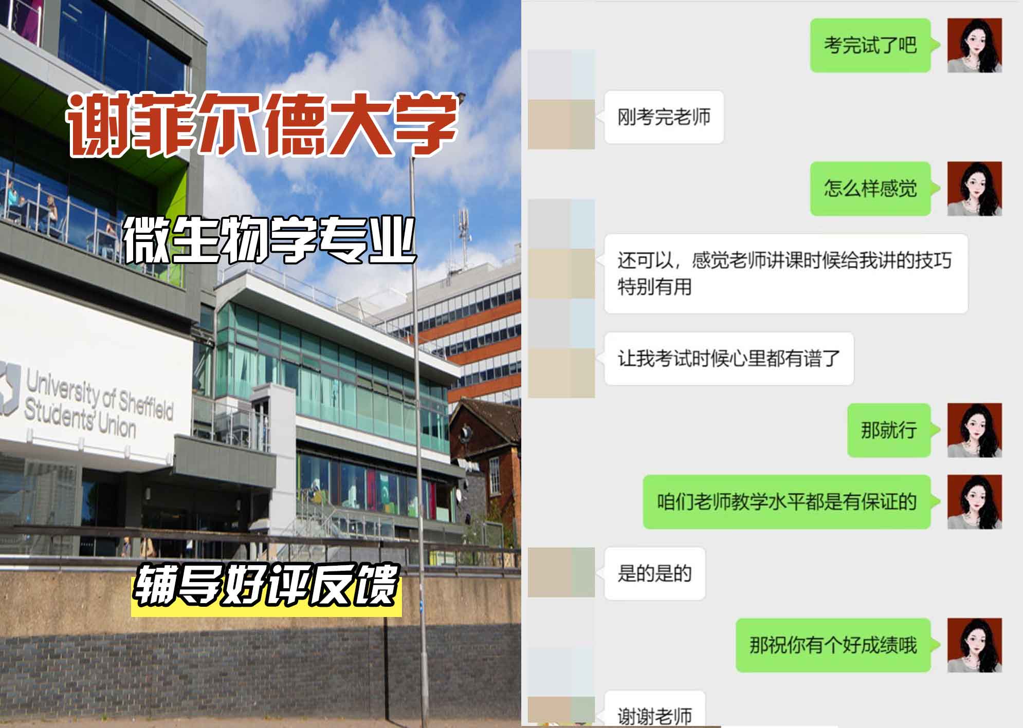 谢菲尔德大学谢大微生物学辅导好评反馈