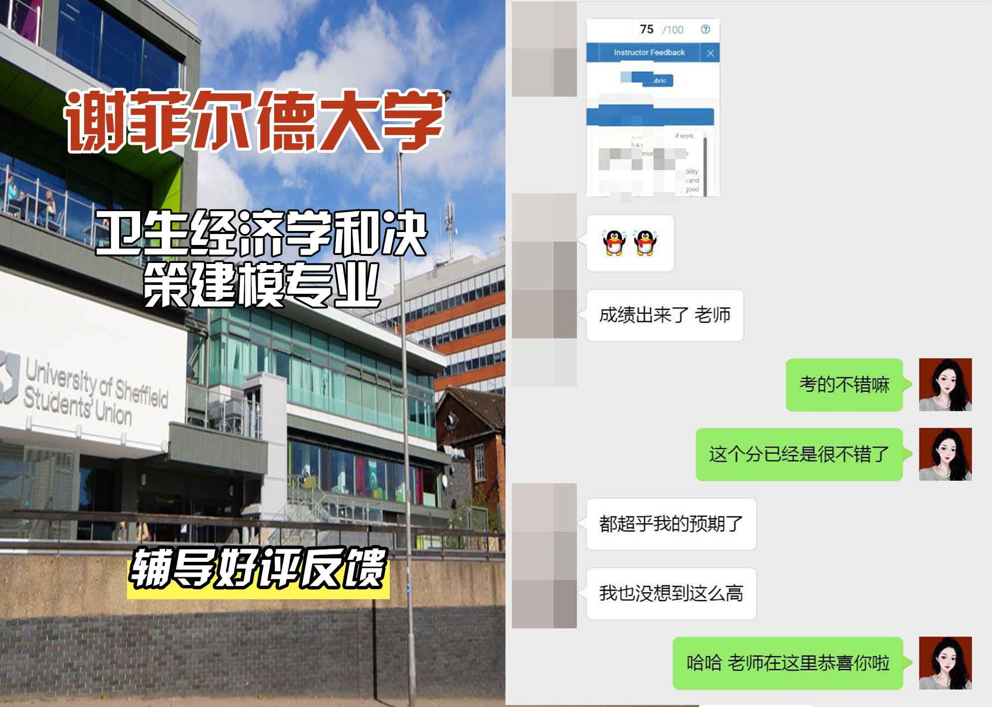 谢菲尔德大学谢大卫生经济学和决策建模辅导好评反馈