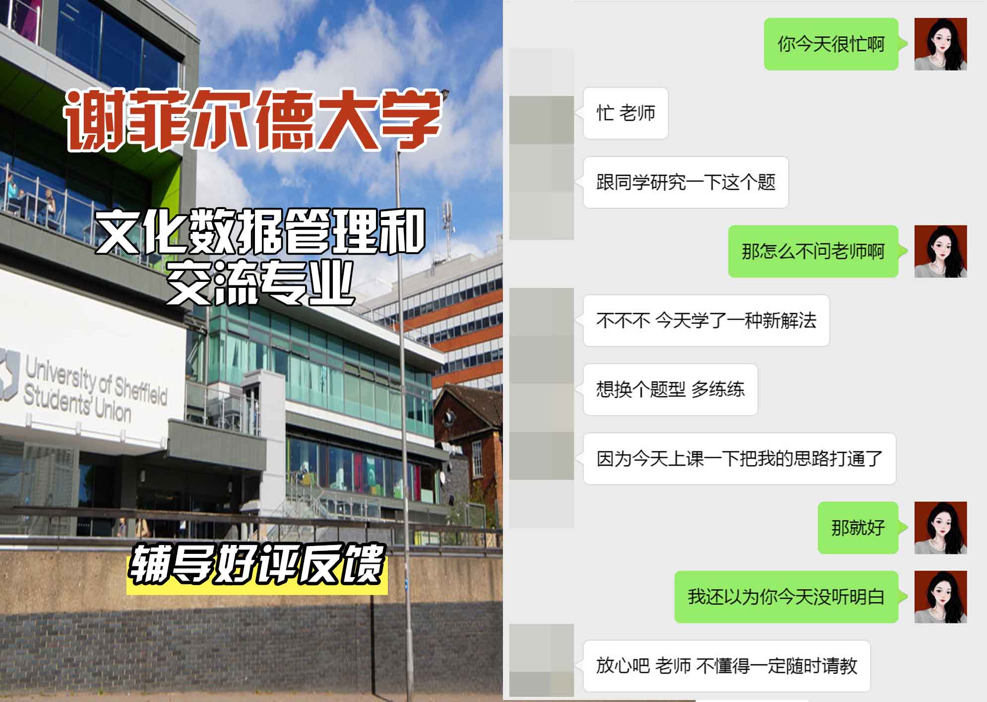 谢菲尔德大学谢大文化数据管理和交流辅导好评反馈