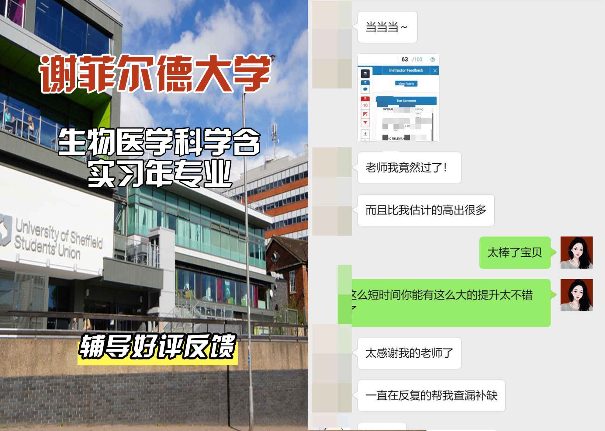 谢菲尔德大学谢大生物医学科学含实习年辅导好评反馈