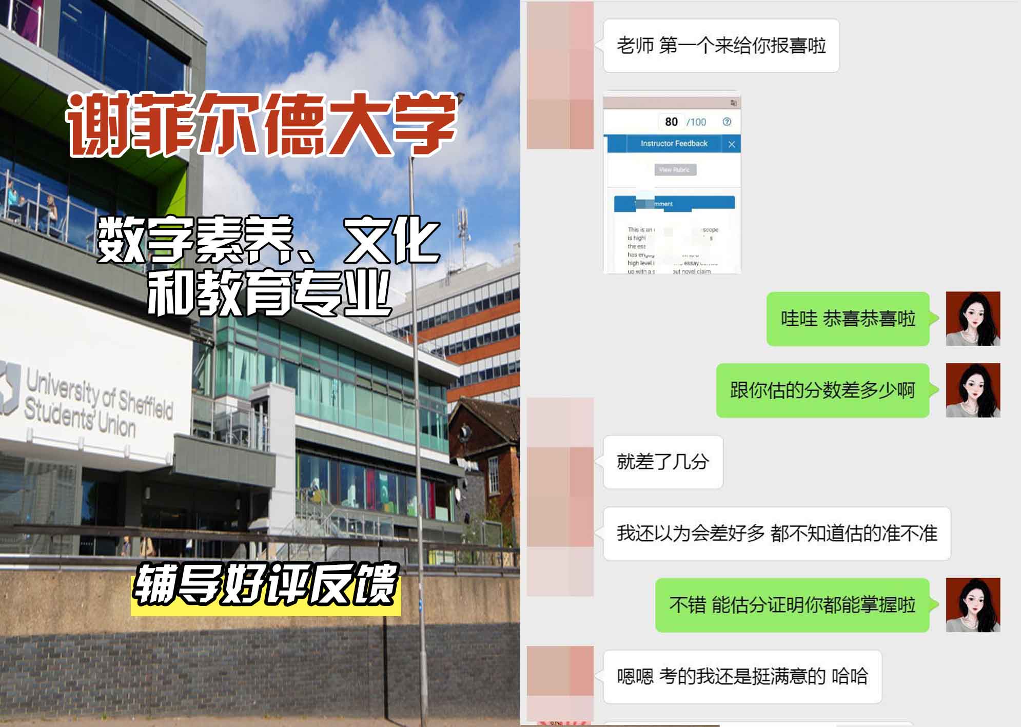 谢菲尔德大学谢大数字素养、文化和教育辅导好评反馈