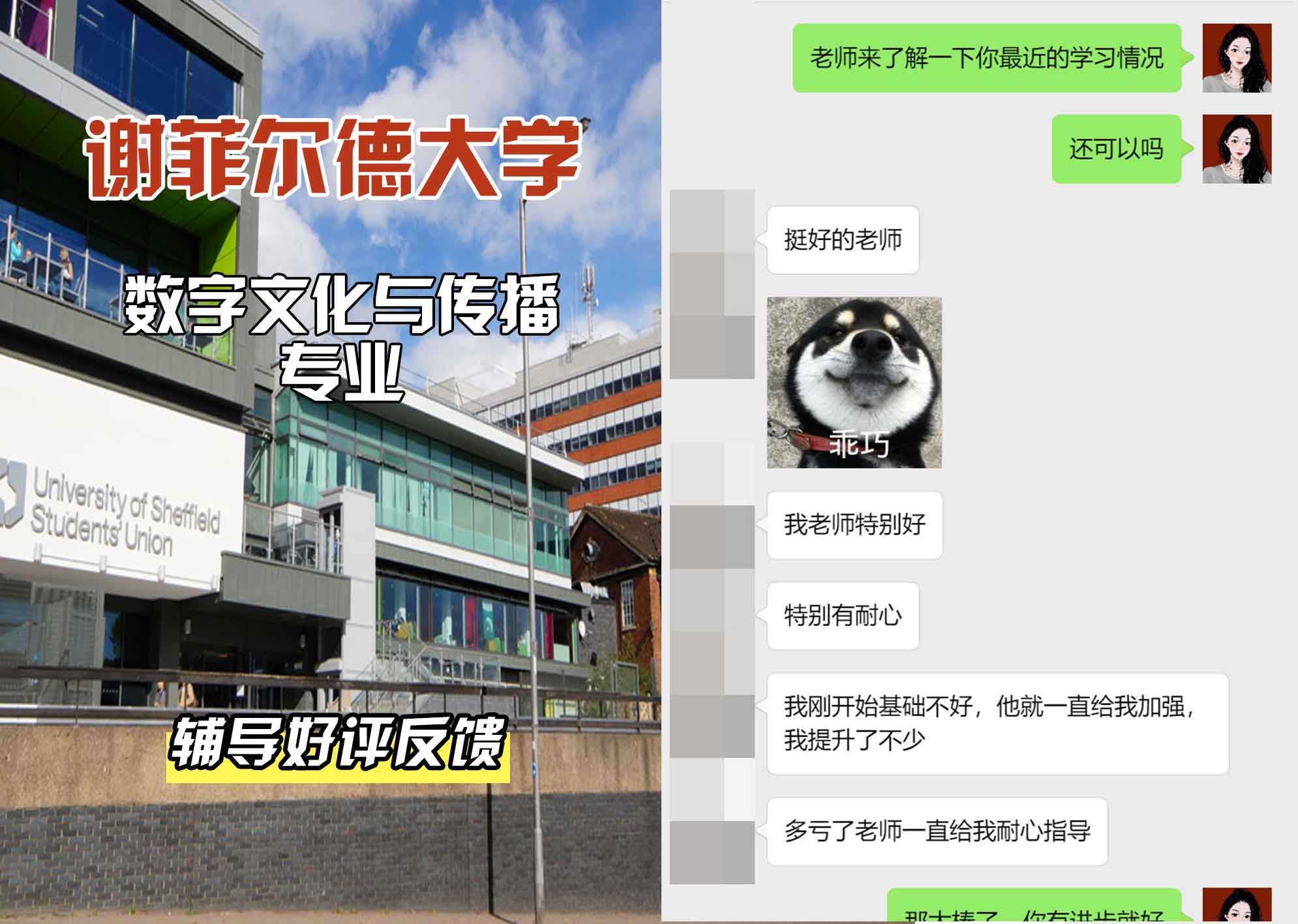 谢菲尔德大学谢大数字文化与传播辅导好评反馈