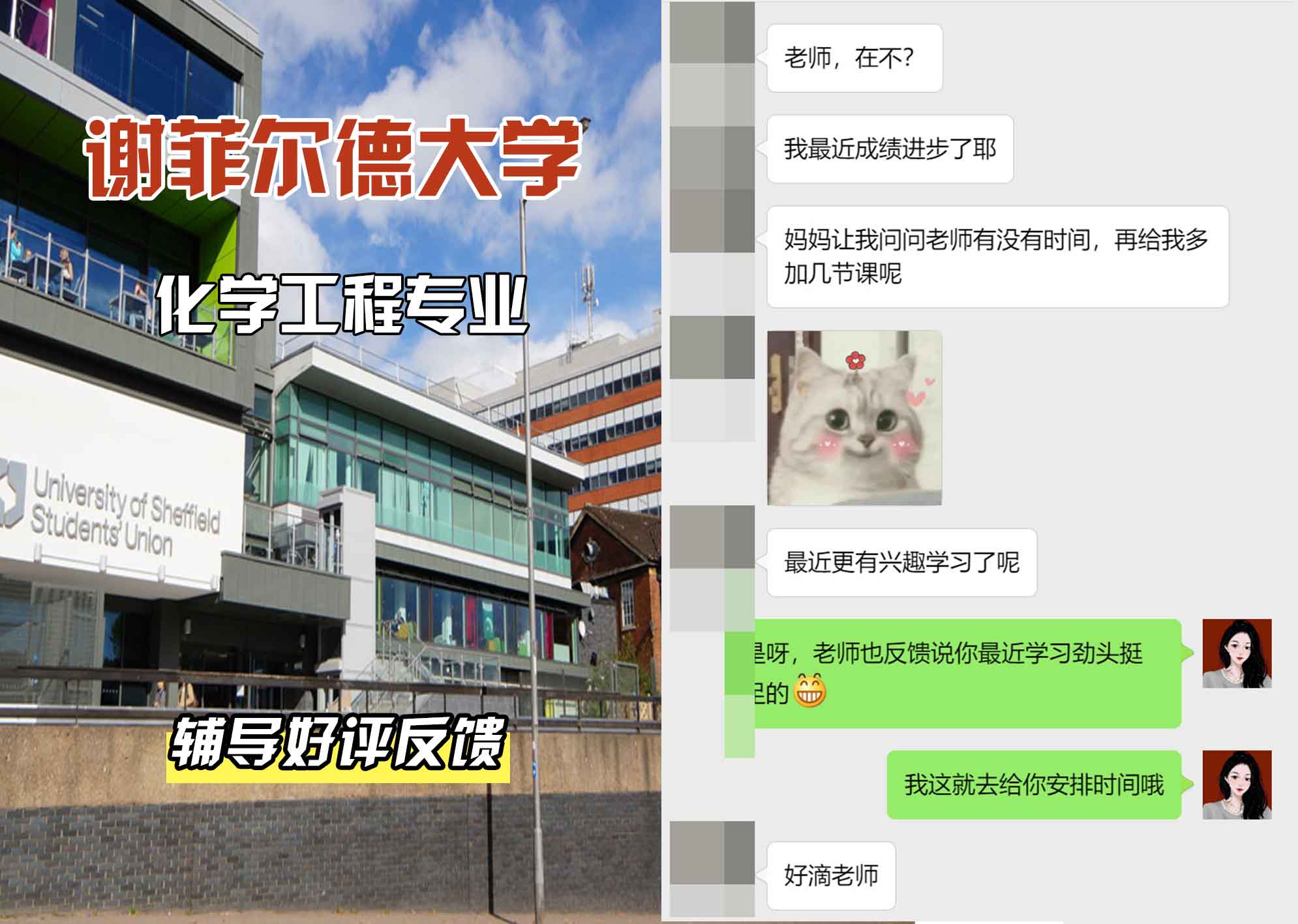 谢菲尔德大学谢大化学工程辅导好评反馈