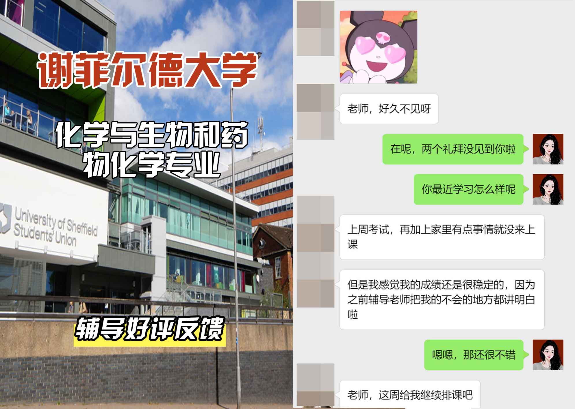 谢菲尔德大学谢大化学与生物和药物化学辅导好评反馈