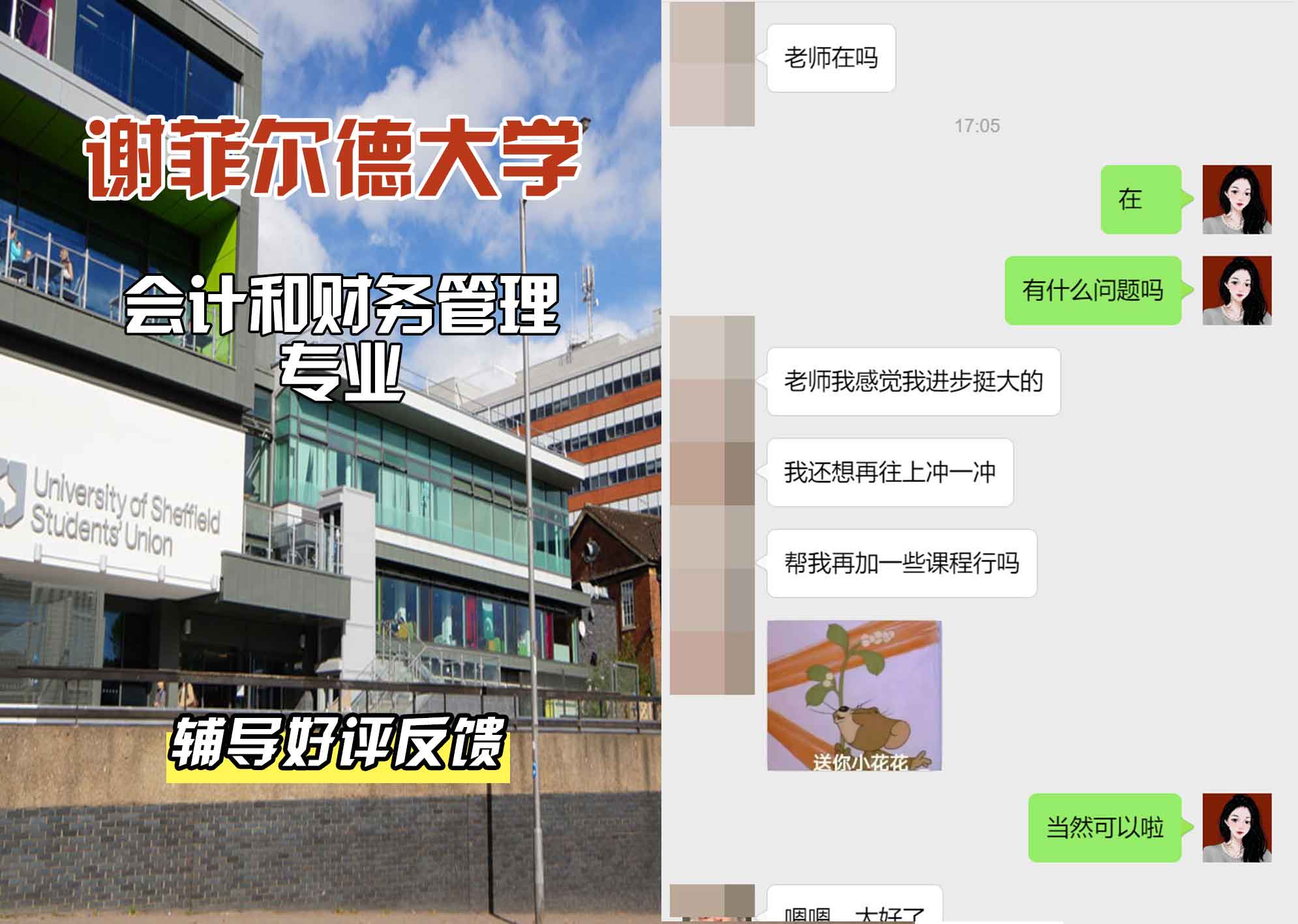 谢菲尔德大学谢大会计和财务管理辅导好评反馈