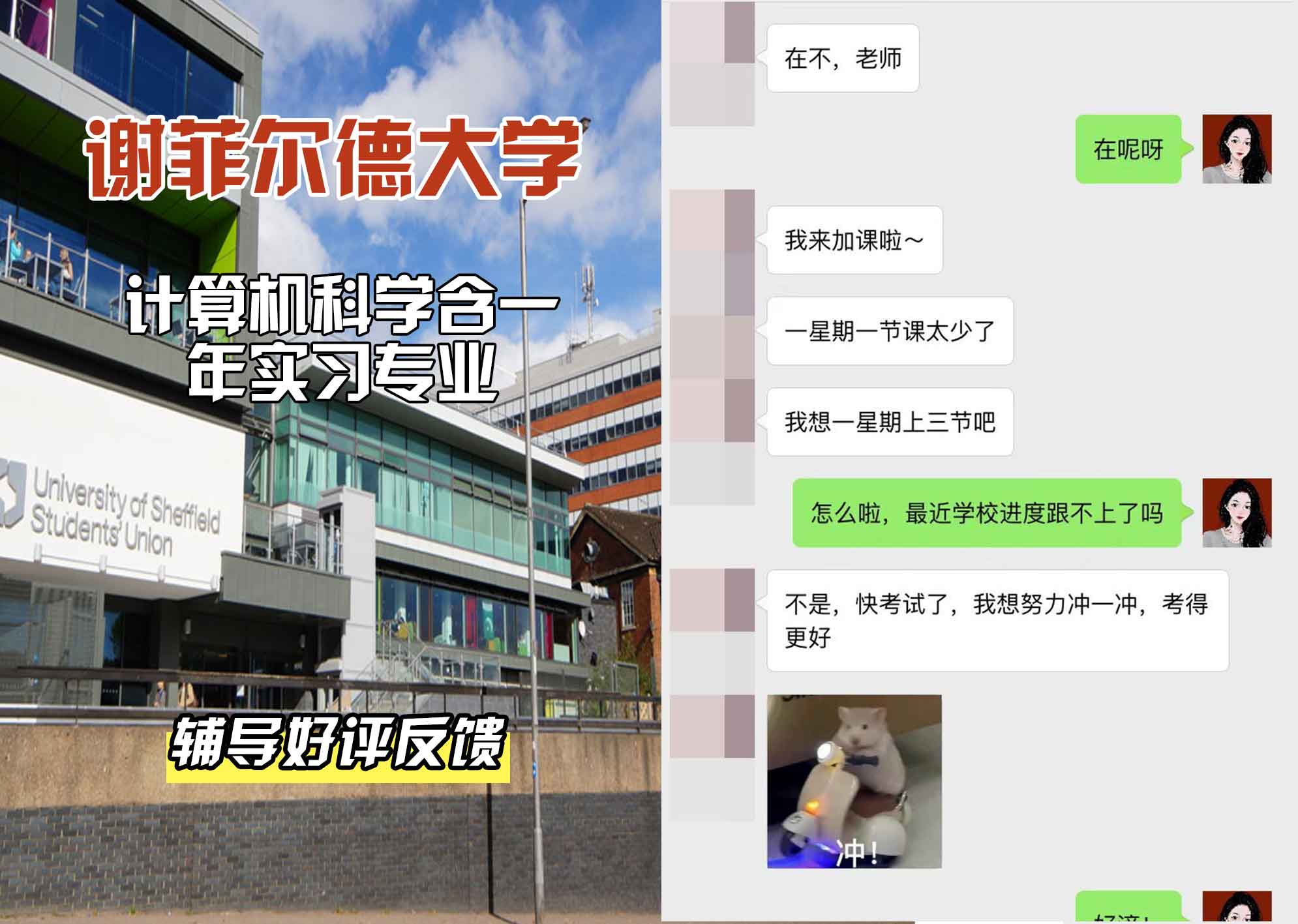 谢菲尔德大学谢大计算机科学含一年实习辅导好评反馈