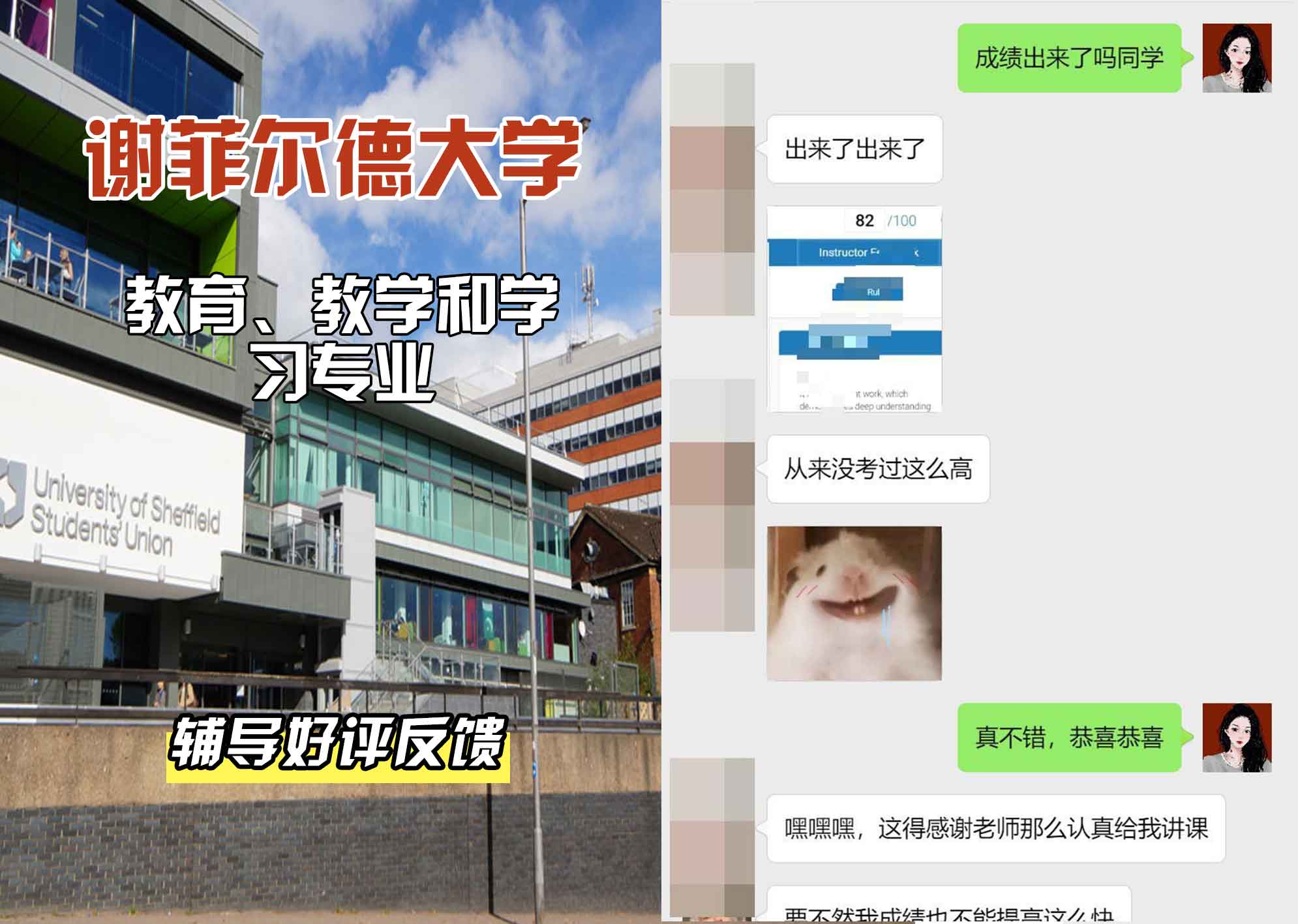 谢菲尔德大学谢大教育、教学和学习辅导好评反馈