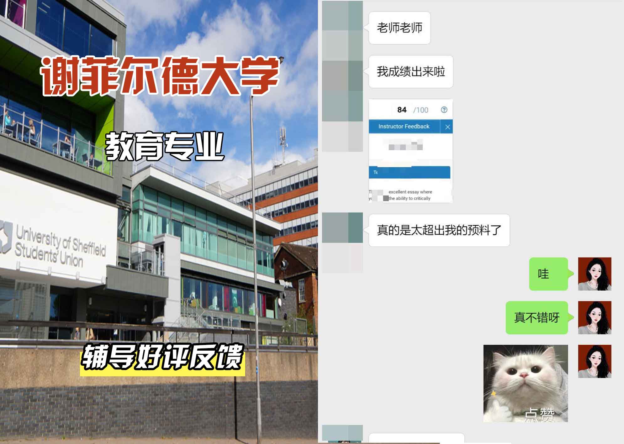谢菲尔德大学谢大教育辅导好评反馈
