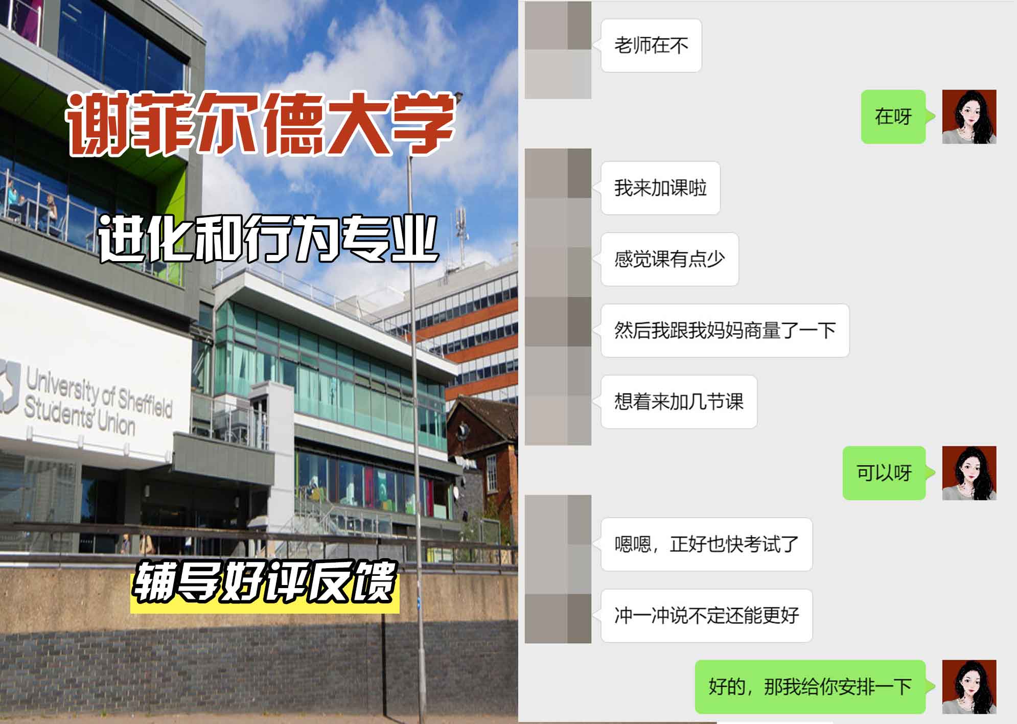 谢菲尔德大学谢大进化和行为辅导好评反馈