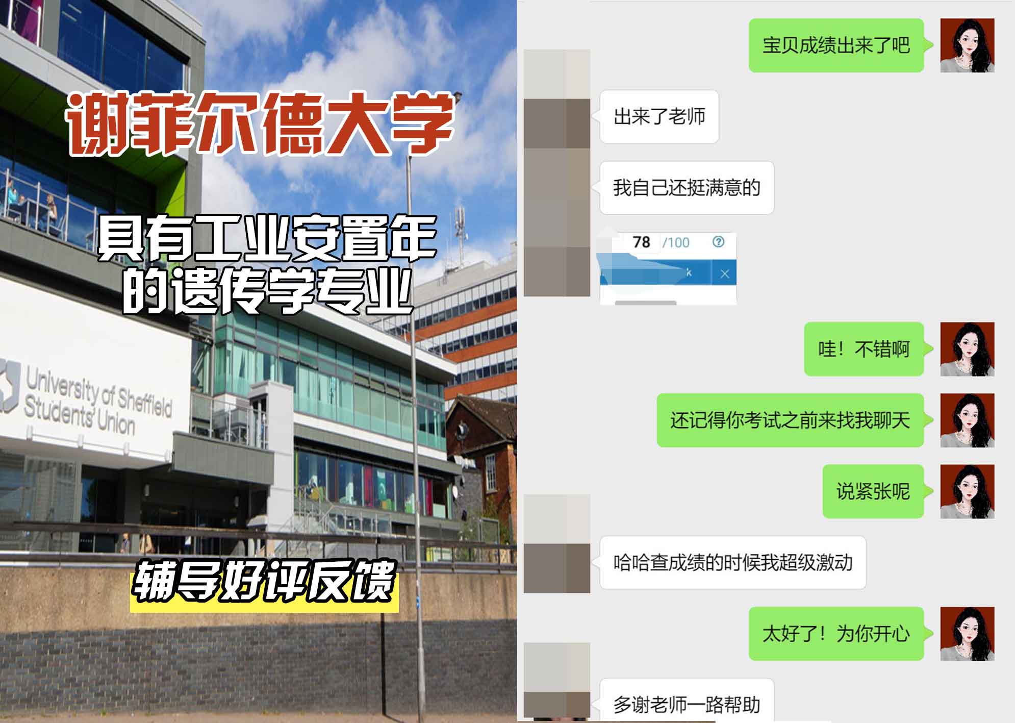 谢菲尔德大学谢大具有工业安置年的遗传学辅导好评反馈