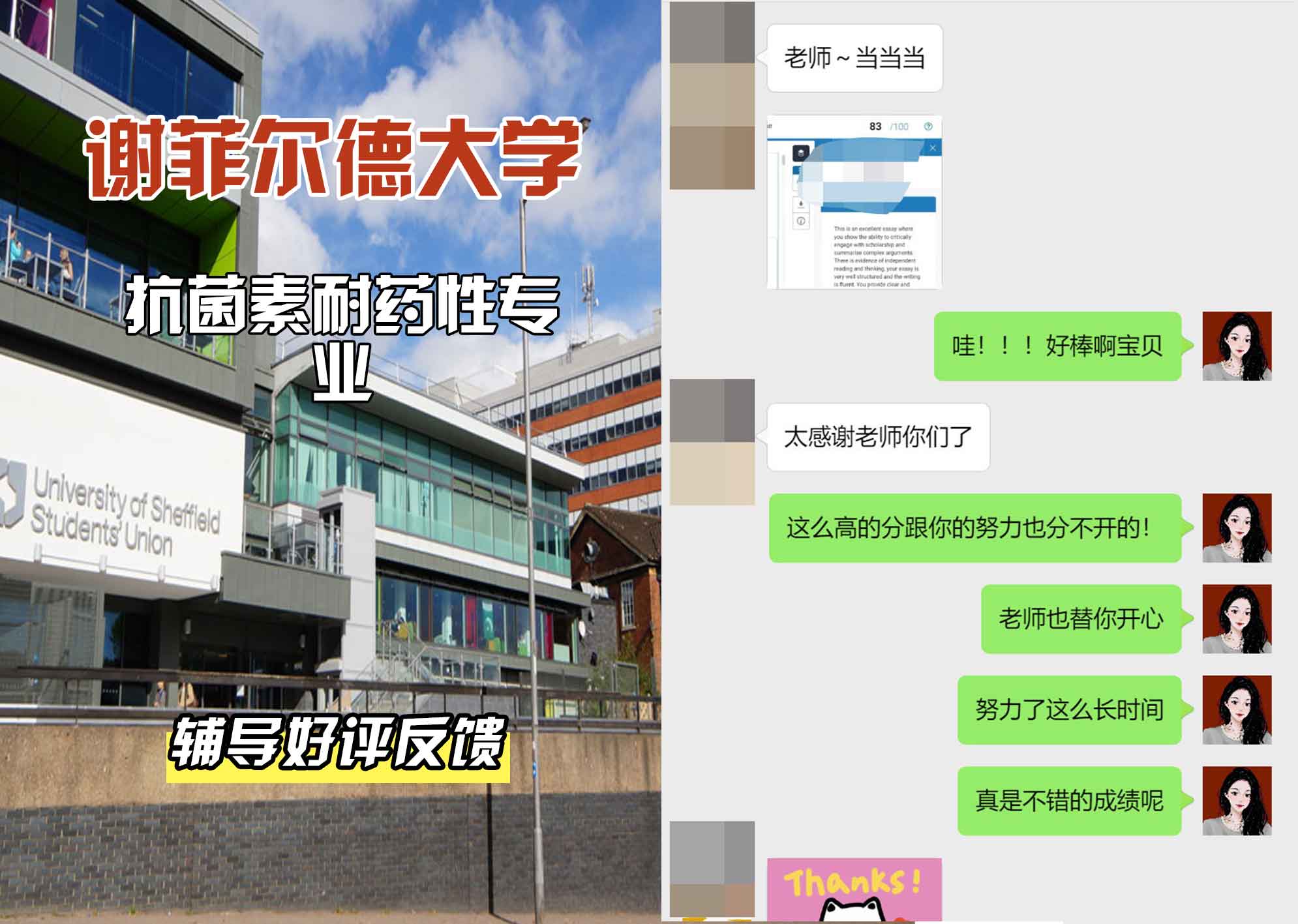 谢菲尔德大学谢大抗菌素耐药性辅导好评反馈