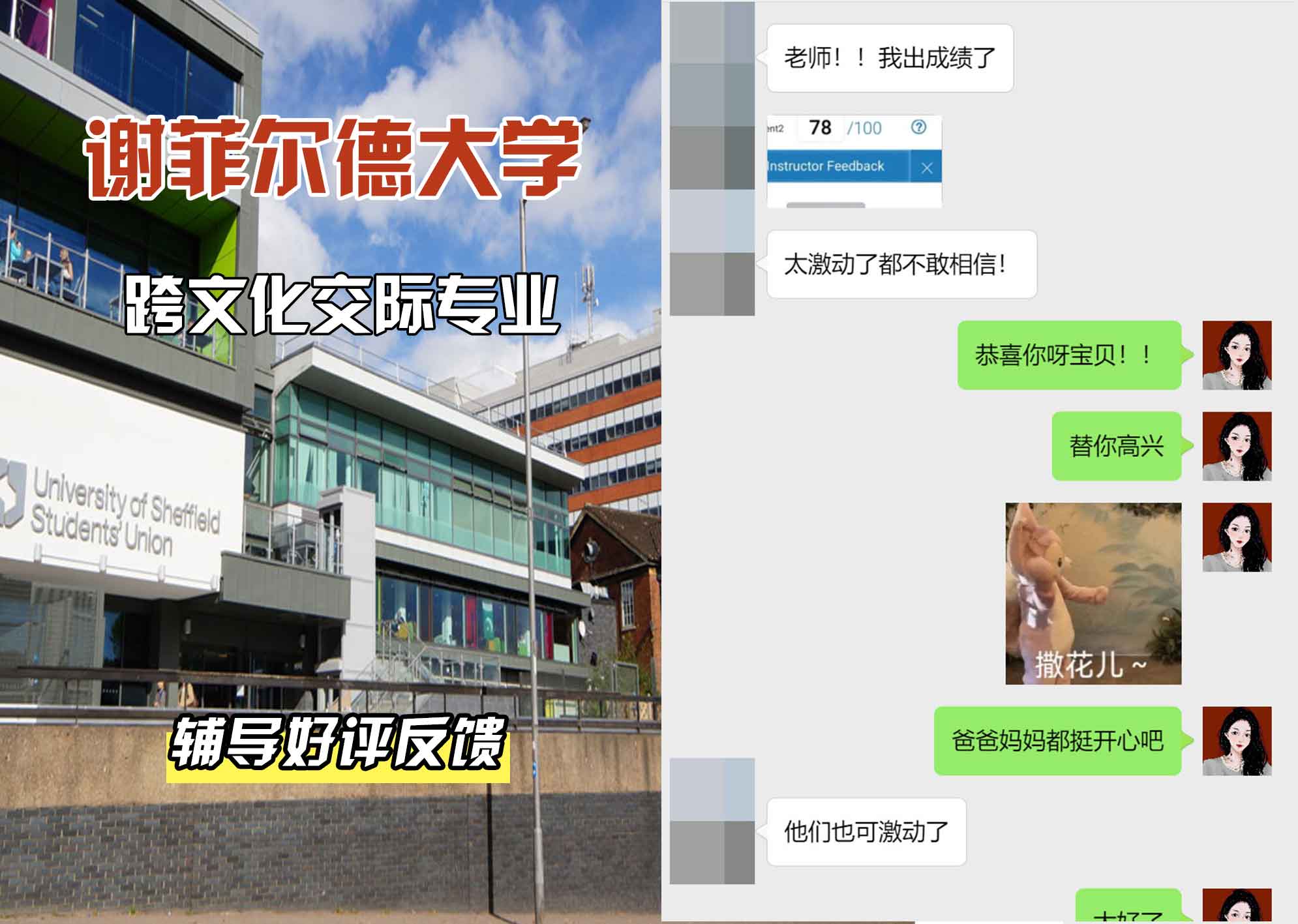 谢菲尔德大学谢大跨文化交际辅导好评反馈