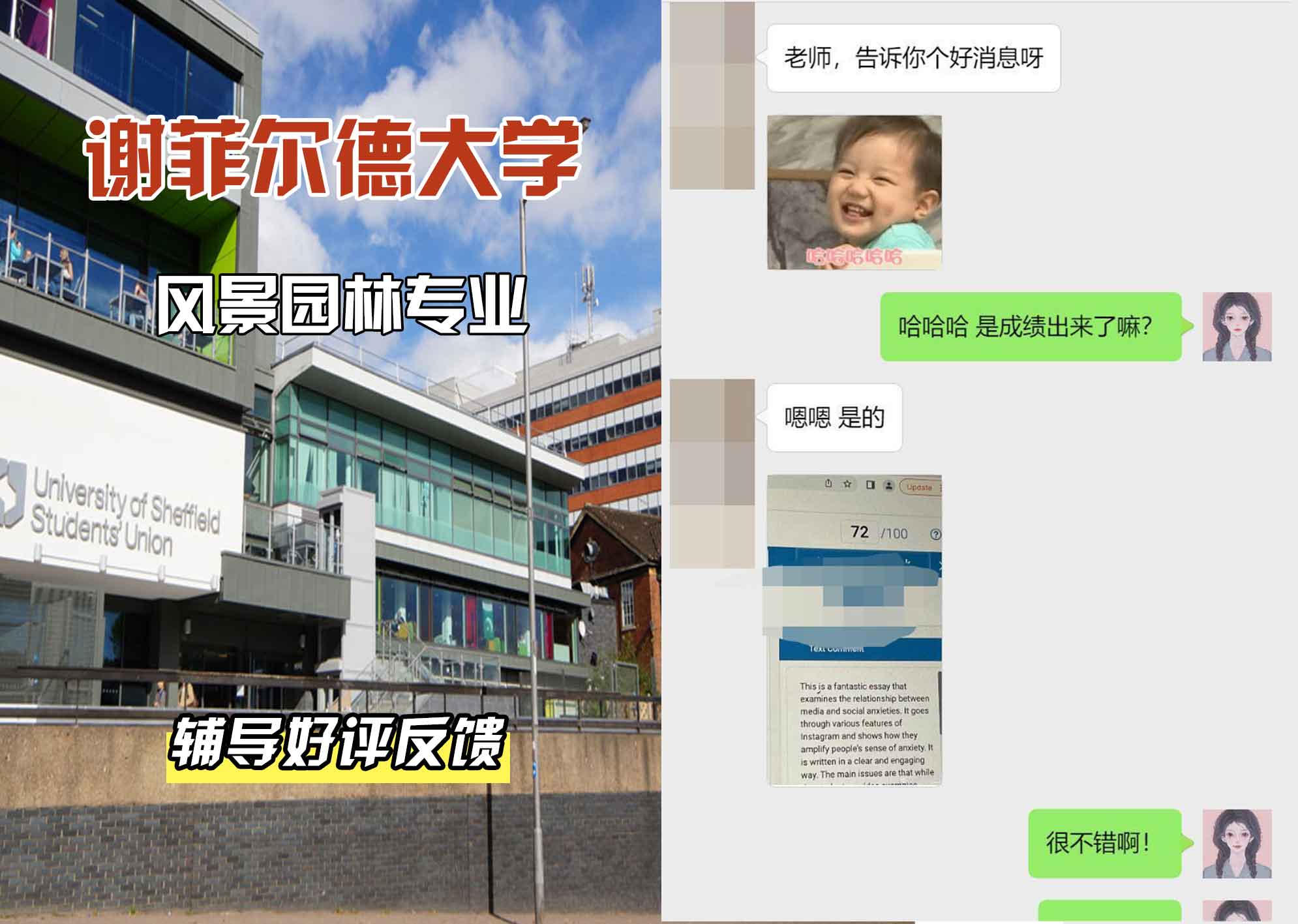 谢菲尔德大学谢大专业风景园林辅导好评反馈