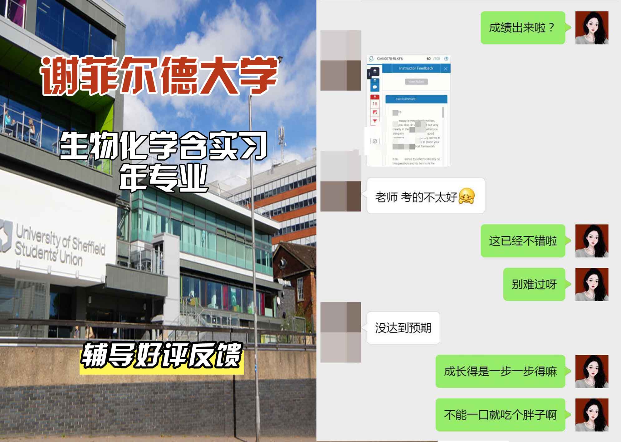 谢菲尔德大学谢大生物化学含实习年辅导好评反馈