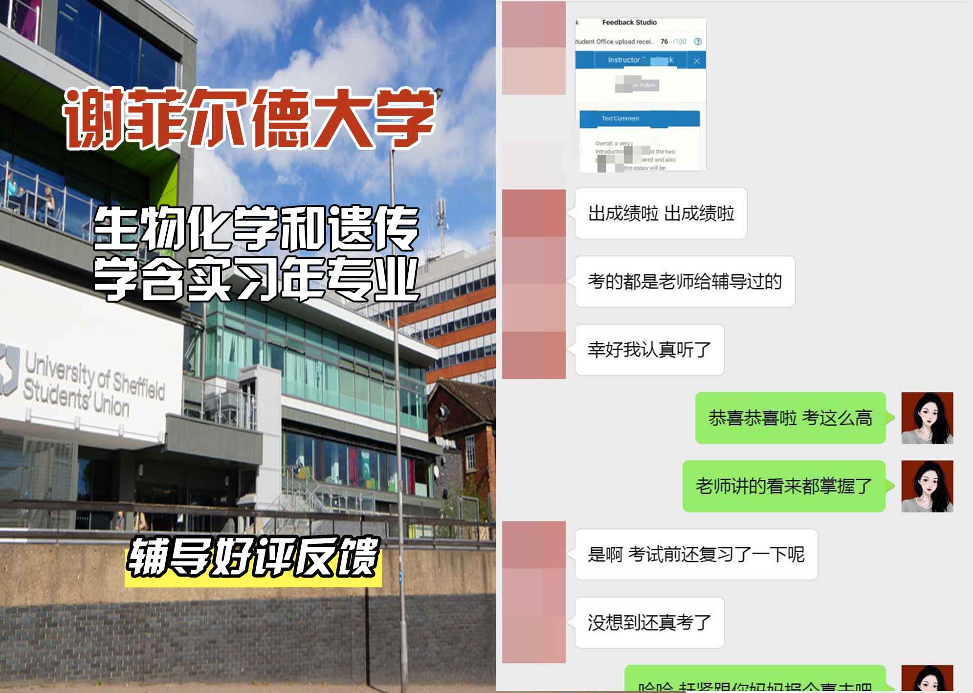 谢菲尔德大学谢大生物化学和遗传学含实习年辅导好评反馈