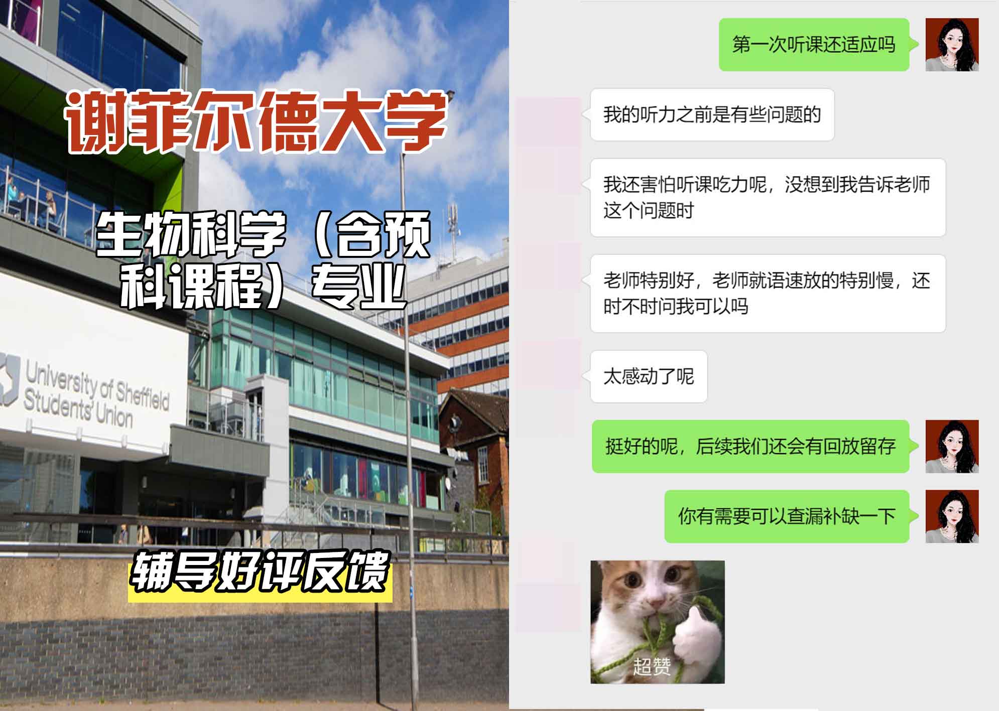 谢菲尔德大学谢大生物科学（含预科课程）辅导好评反馈