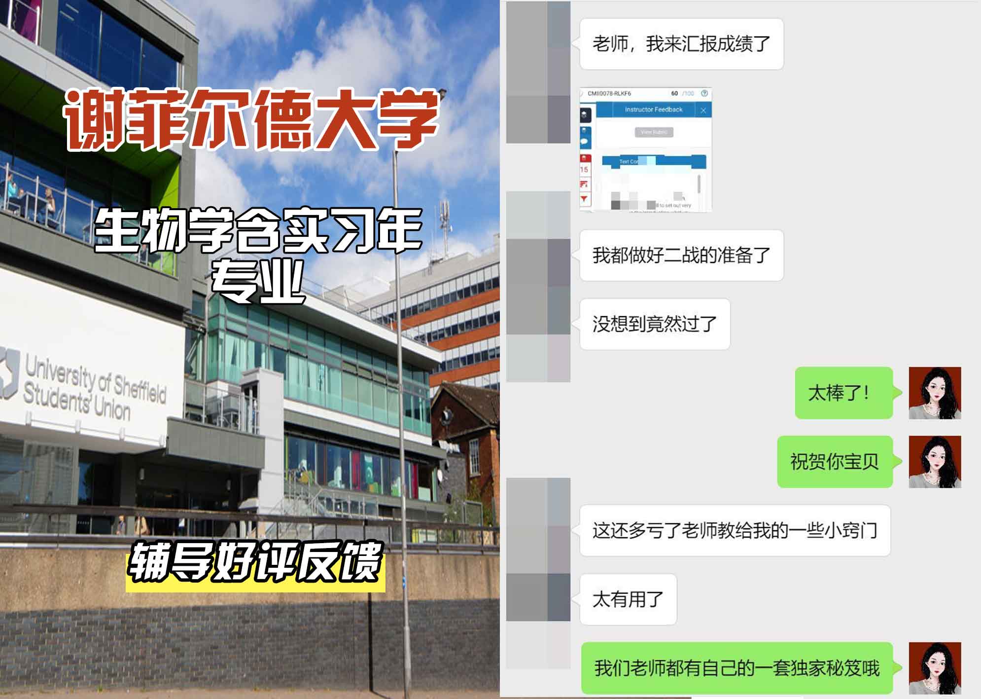 谢菲尔德大学谢大生物学含实习年辅导好评反馈