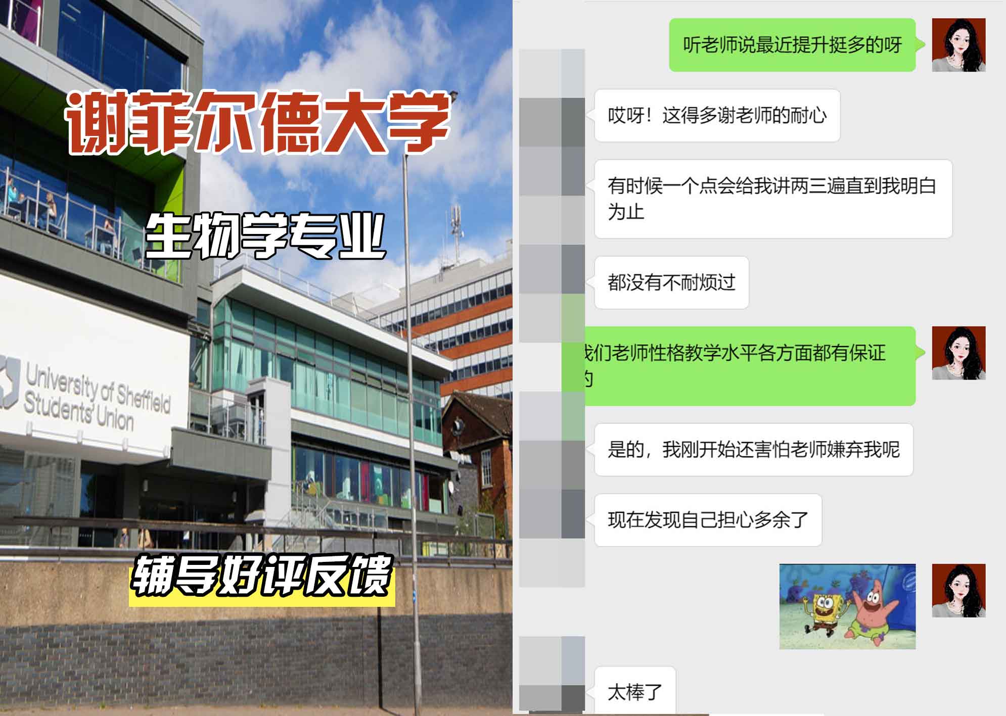 谢菲尔德大学谢大生物学辅导好评反馈