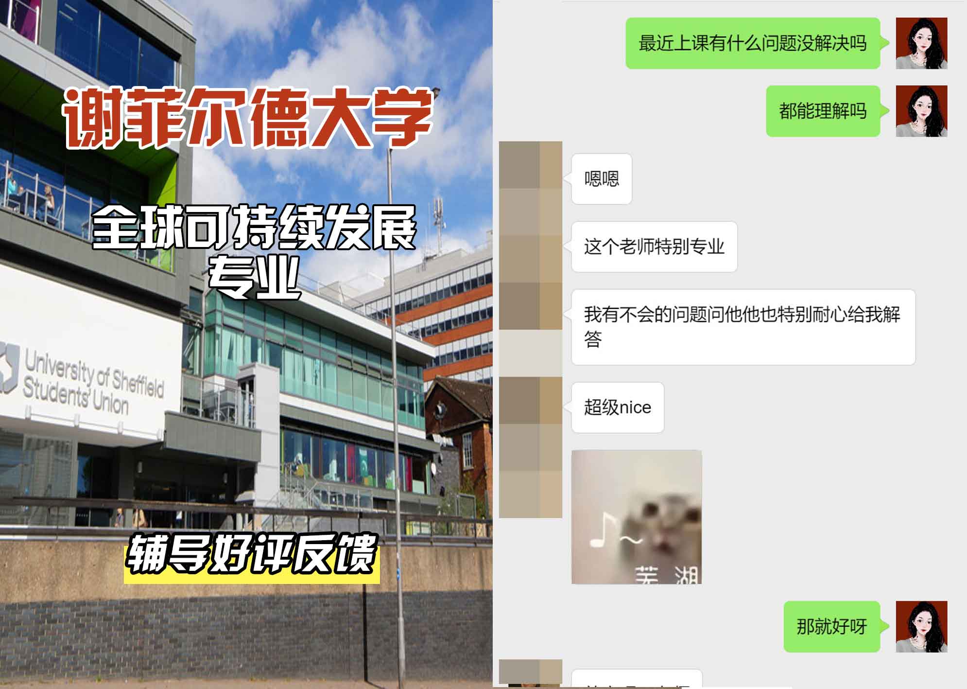 谢菲尔德大学谢大全球可持续发展辅导好评反馈