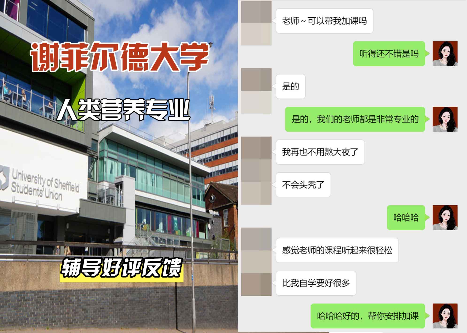 谢菲尔德大学谢大人类营养辅导好评反馈