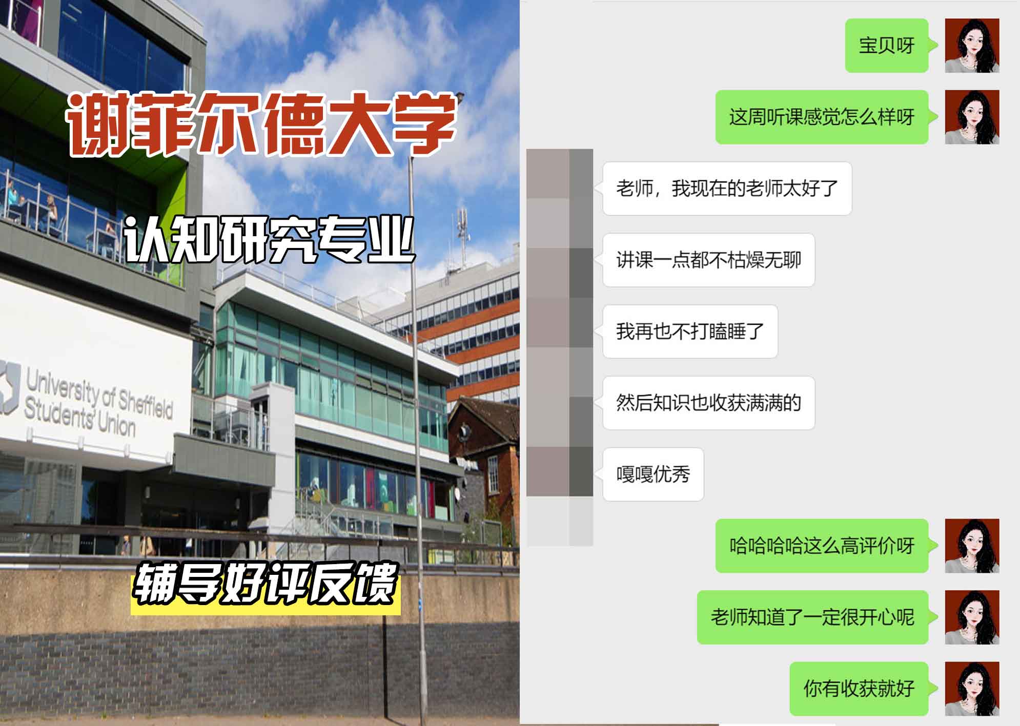 谢菲尔德大学谢大认知研究辅导好评反馈
