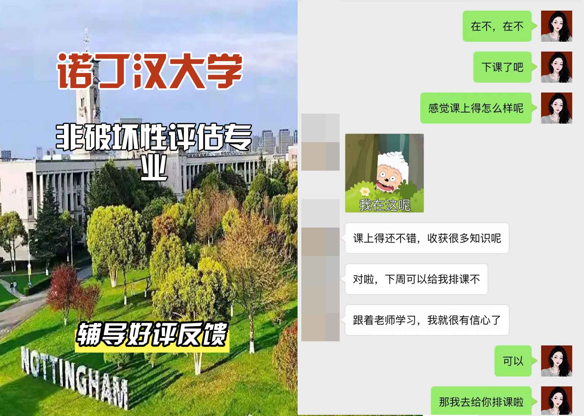 诺丁汉大学诺大非破坏性评估辅导好评反馈