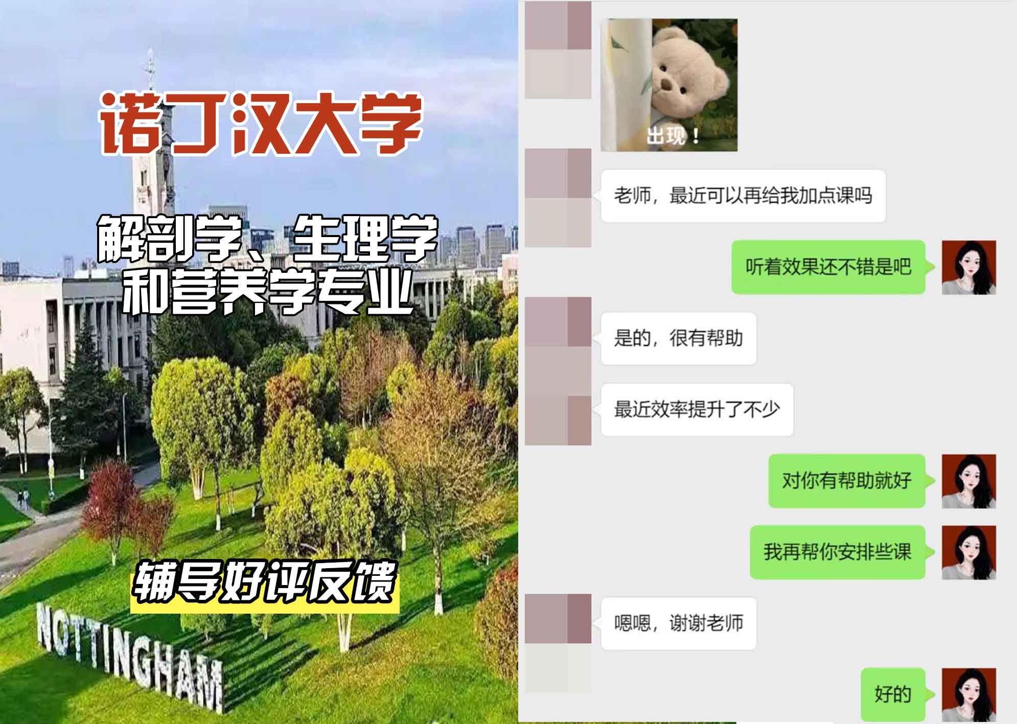 诺丁汉大学诺大解剖学、生理学和营养学辅导好评反馈