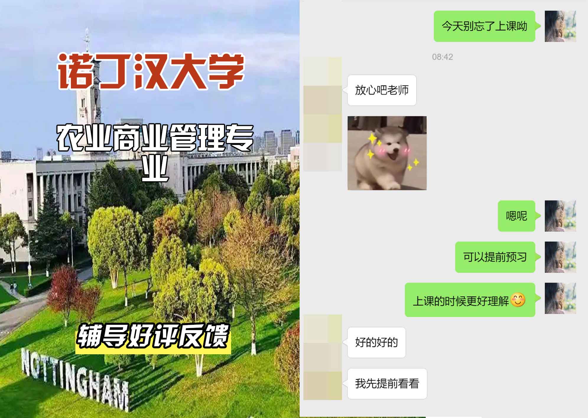 诺丁汉大学诺大农业商业管理辅导好评反馈