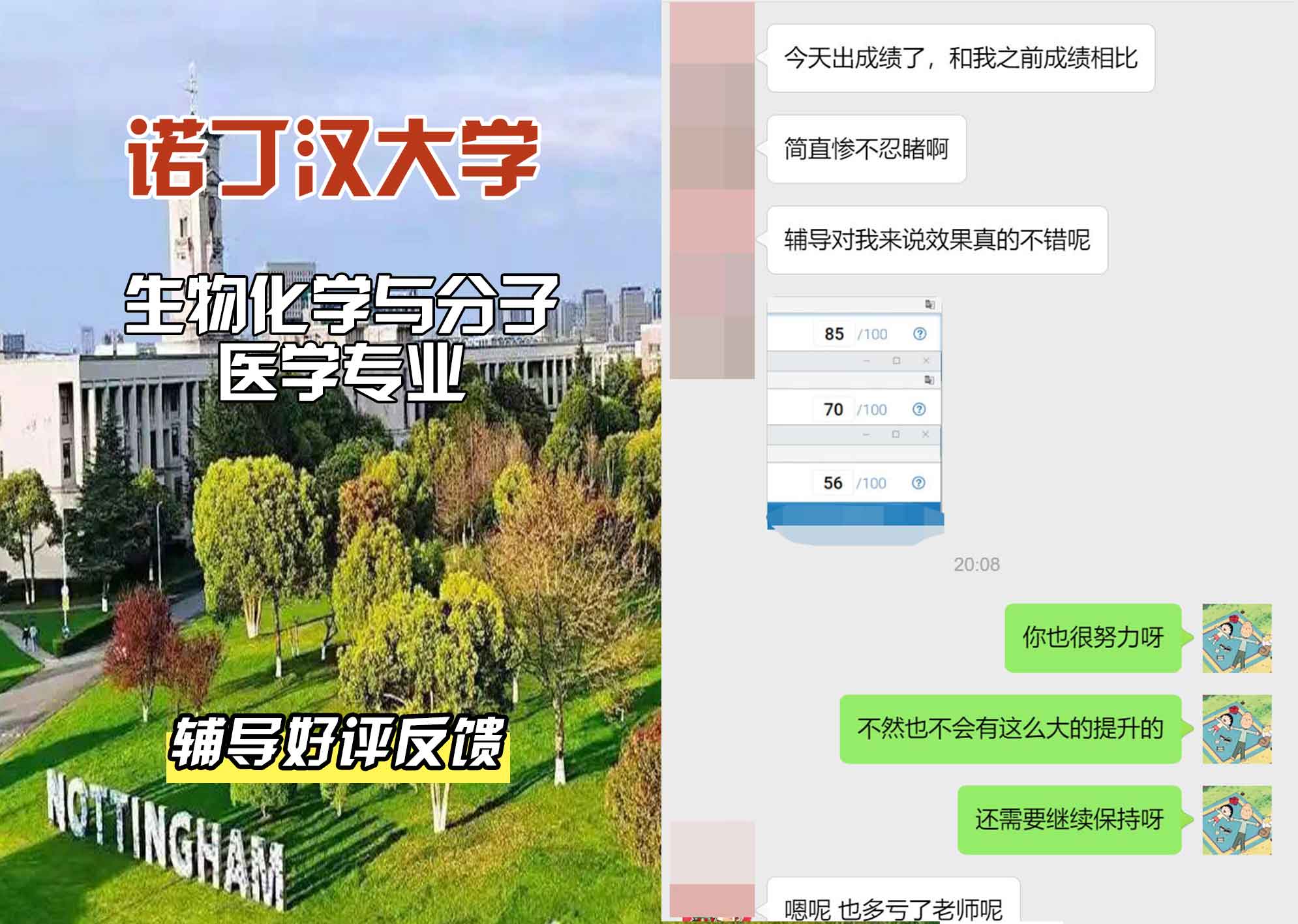 诺丁汉大学诺大生物化学与分子医学辅导好评反馈