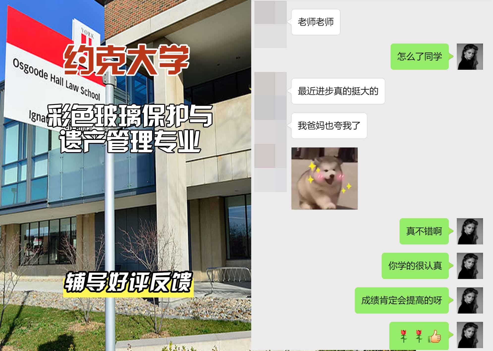 约克大学UOY彩色玻璃保护与遗产管理辅导好评反馈