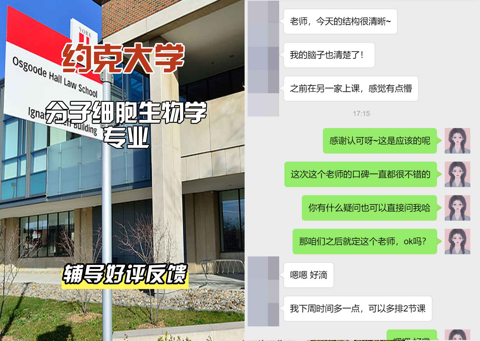 约克大学UOY分子细胞生物学辅导好评反馈