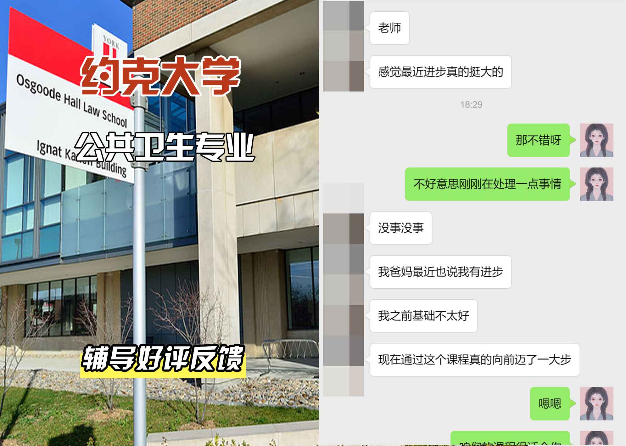 约克大学UOY公共卫生辅导好评反馈