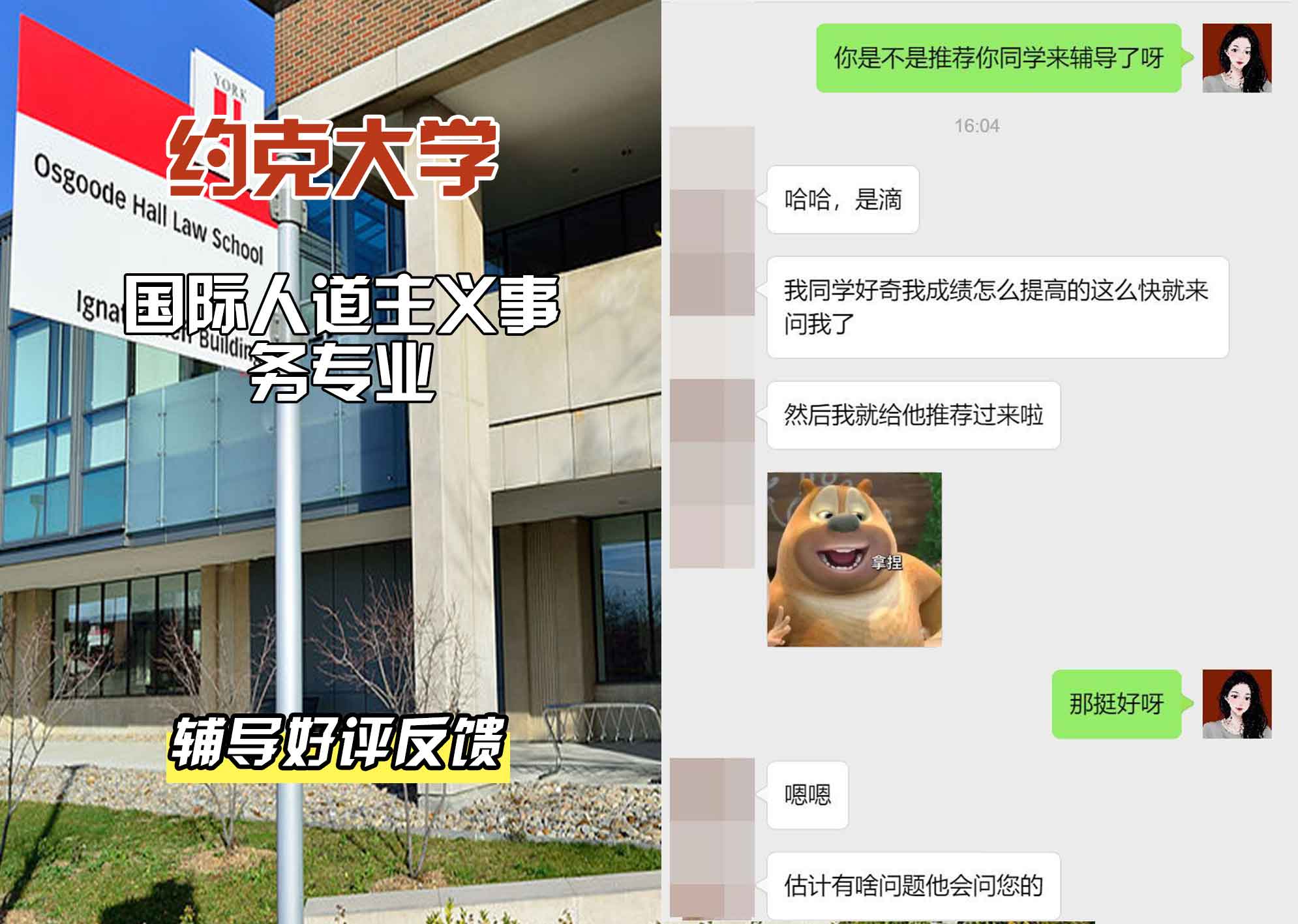 约克大学UOY国际人道主义事务辅导好评反馈