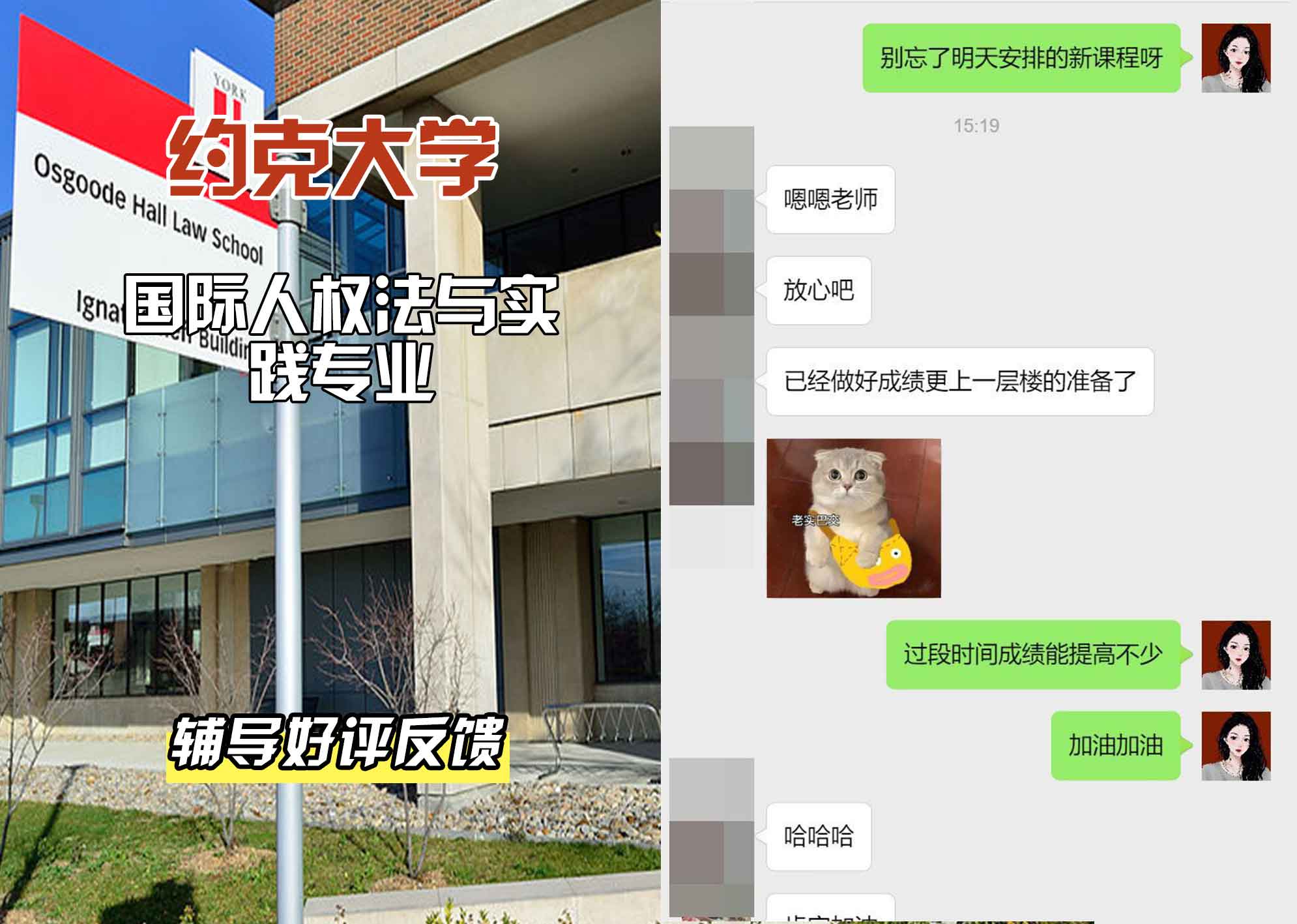 约克大学UOY国际人权法与实践辅导好评反馈