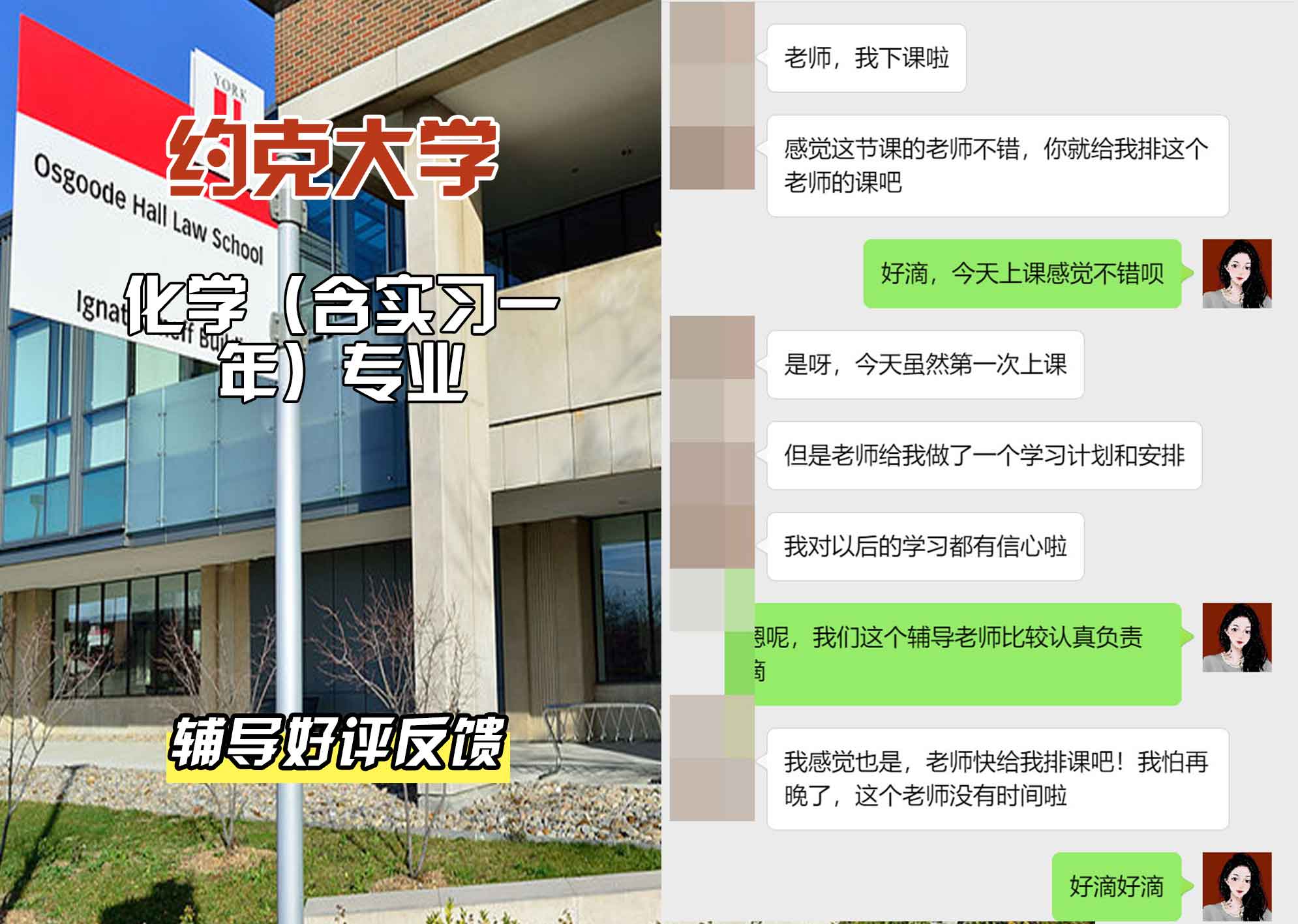 约克大学UOY化学（含实习一年）辅导好评反馈