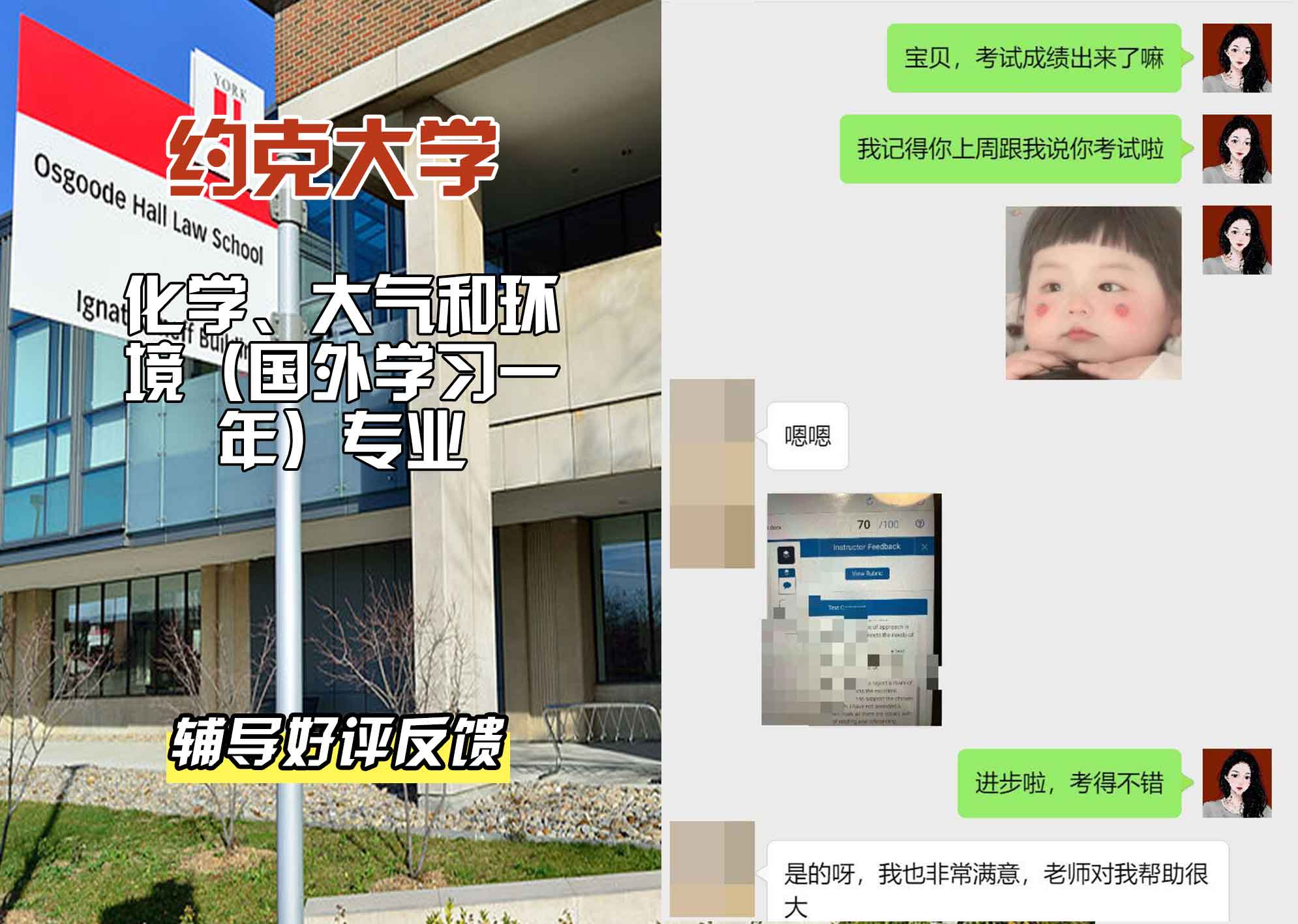 约克大学UOY化学、大气和环境（含实习一年）辅导好评反馈