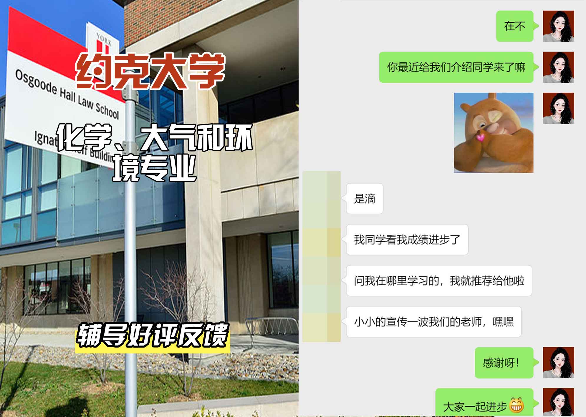 约克大学UOY化学、大气和环境辅导好评反馈