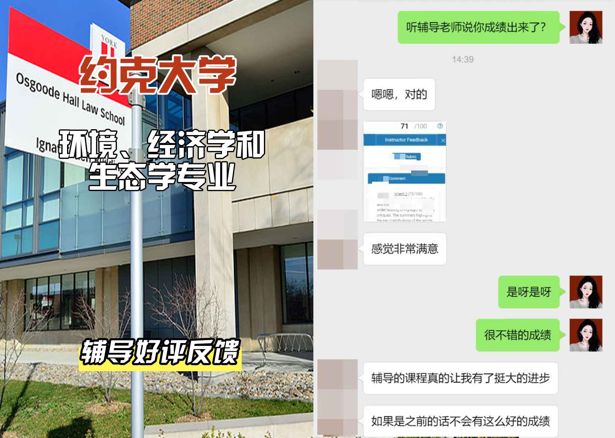 约克大学UOY环境、经济学和生态学辅导好评反馈