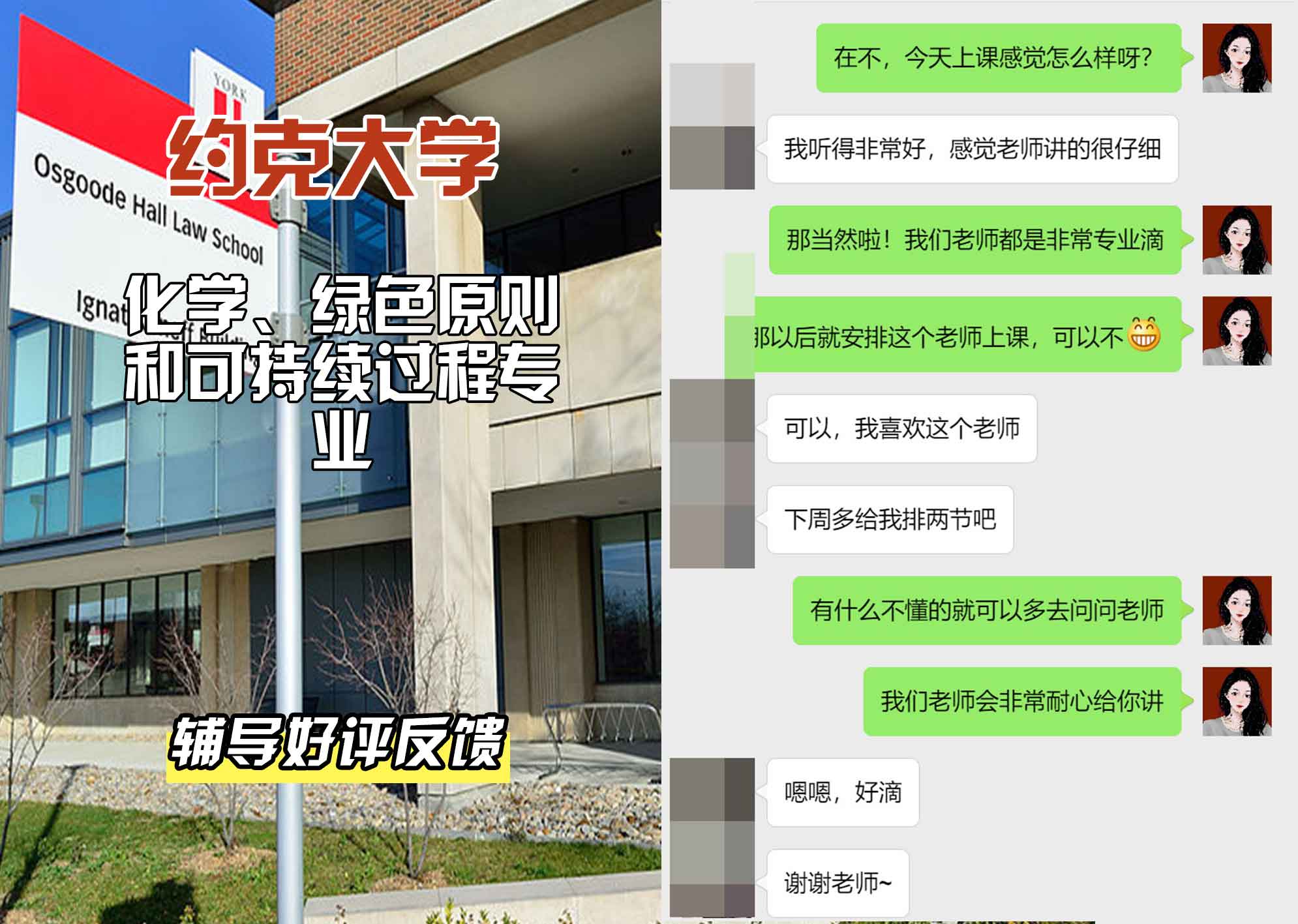 约克大学UOY化学、绿色原则和可持续过程辅导好评反馈