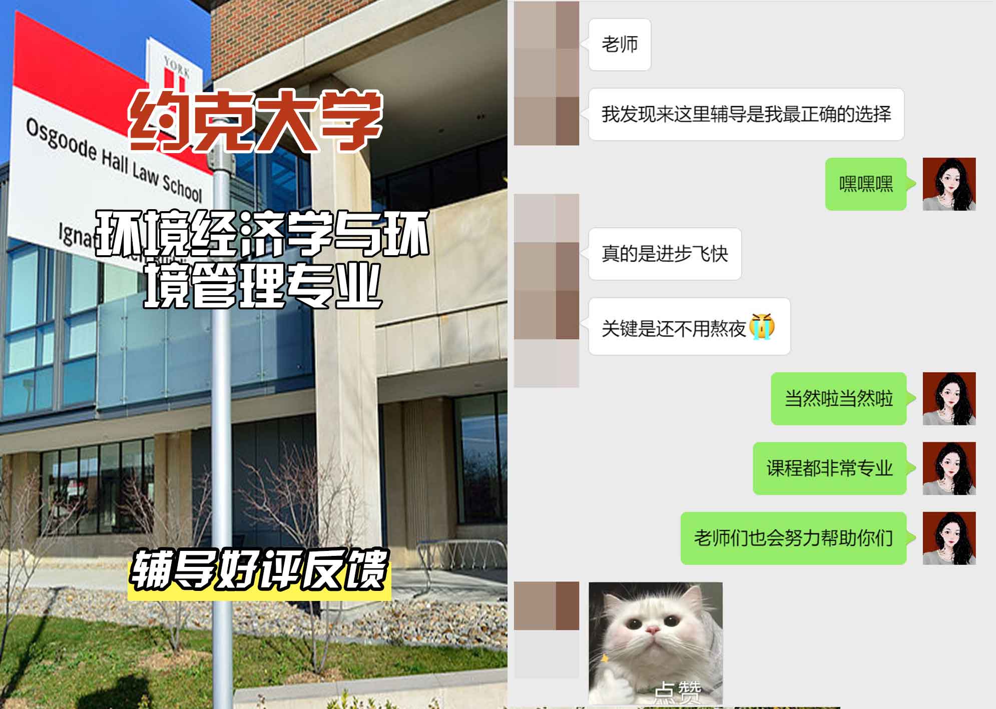 约克大学UOY环境经济学与环境管理辅导好评反馈