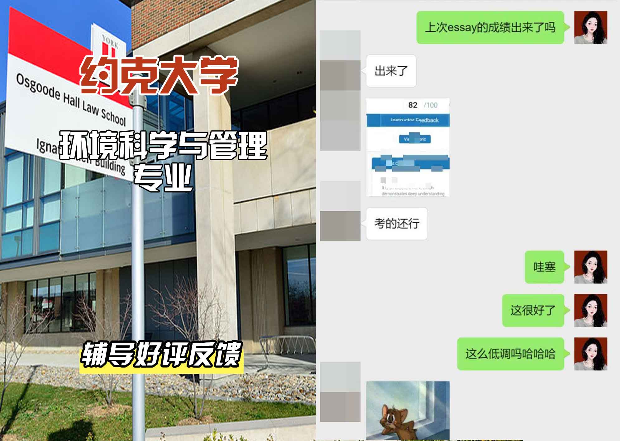约克大学UOY环境科学与管理辅导好评反馈