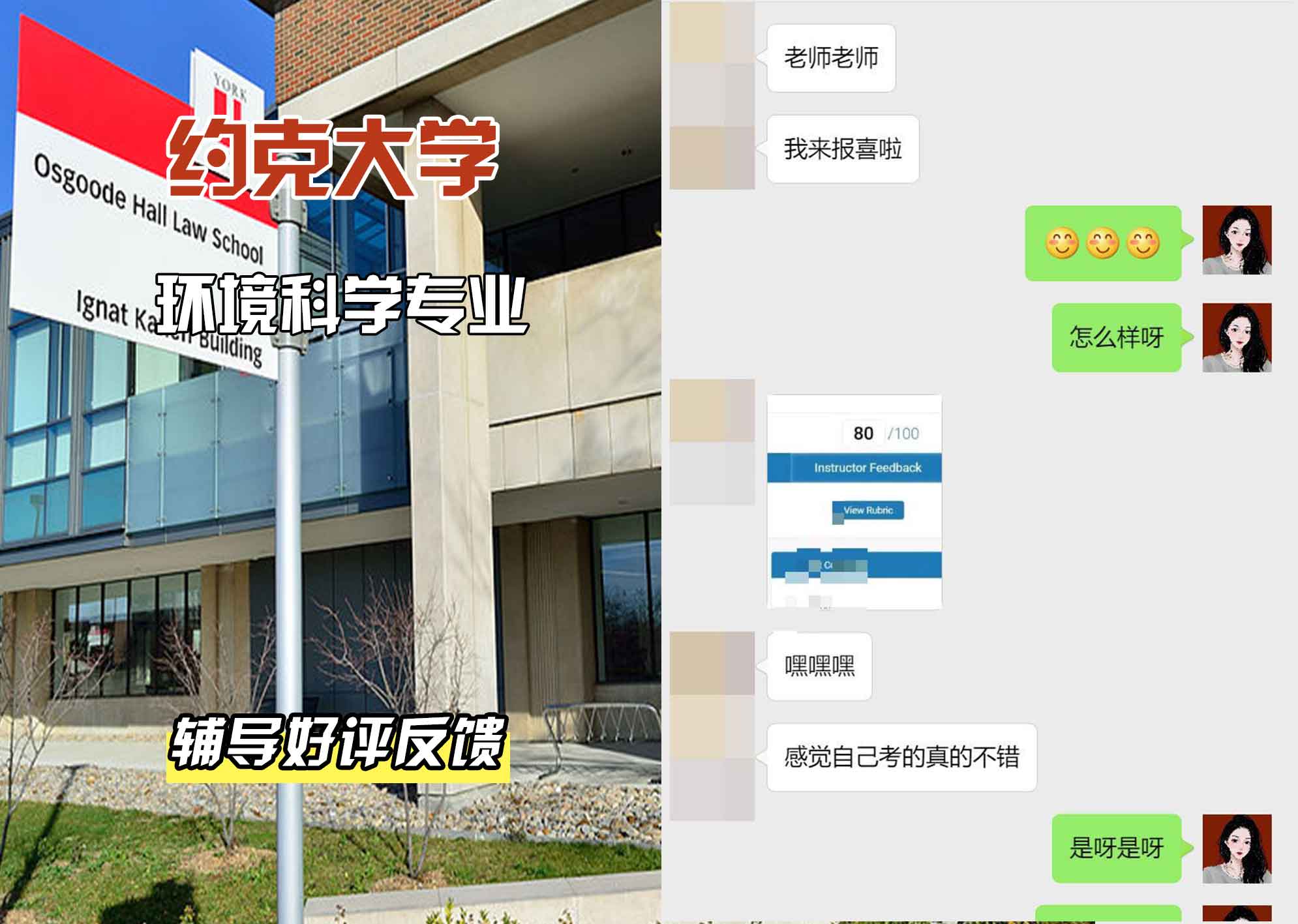 约克大学UOY环境科学辅导好评反馈