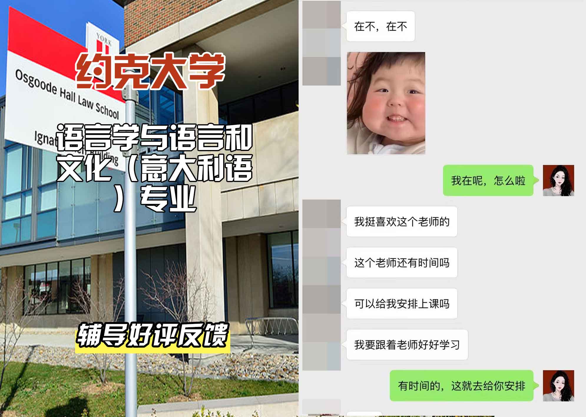 约克大学UOY语言学与语言和文化（意大利语）辅导好评反馈