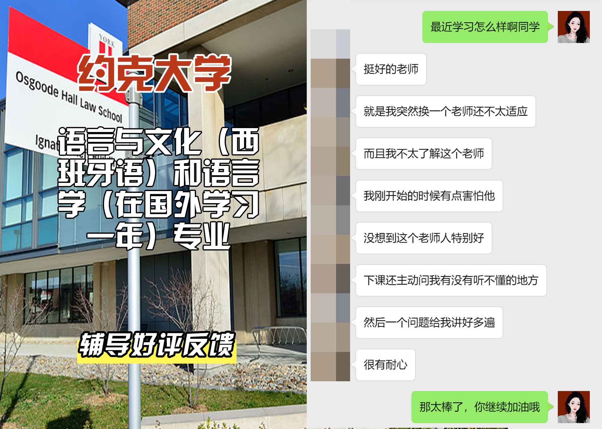 约克大学UOY语言与文化（西班牙语）和语言学（在国外学习一年）辅导好评反馈