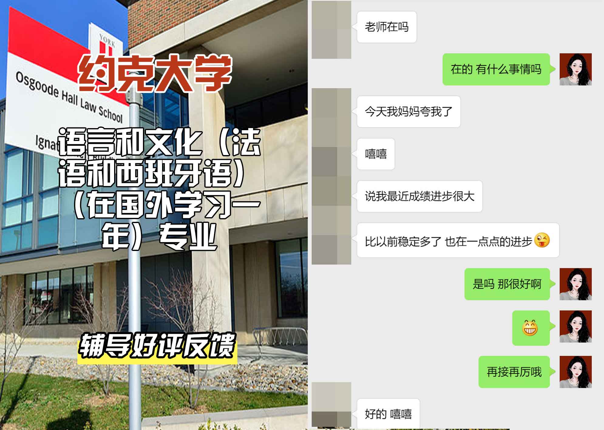 约克大学UOY语言和文化（法语和西班牙语）（在国外学习一年）辅导好评反馈