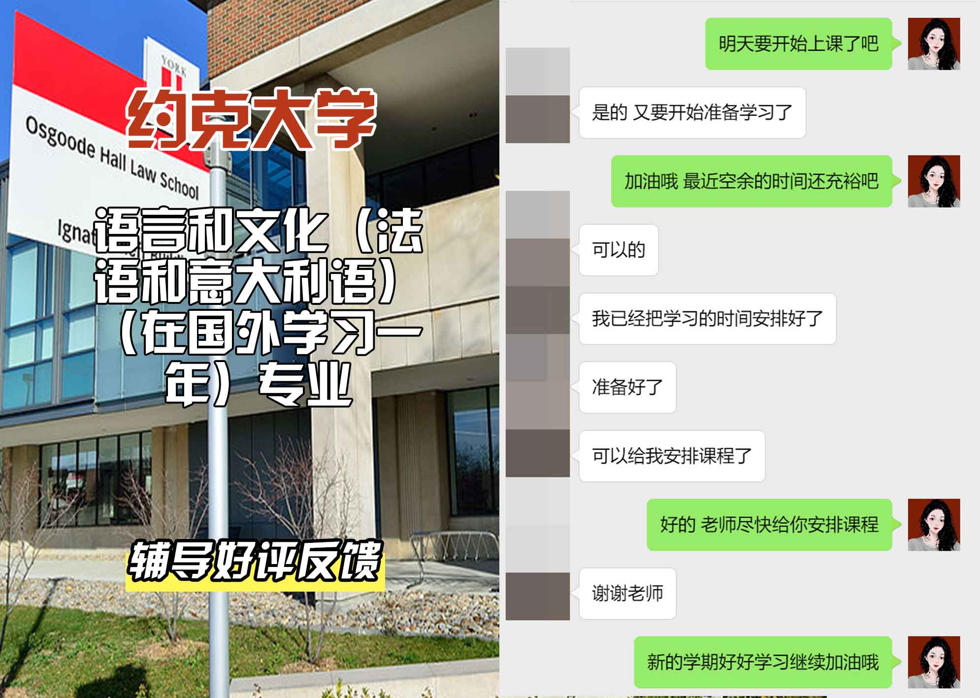 约克大学UOY语言和文化（法语和意大利语）（在国外学习一年）辅导好评反馈