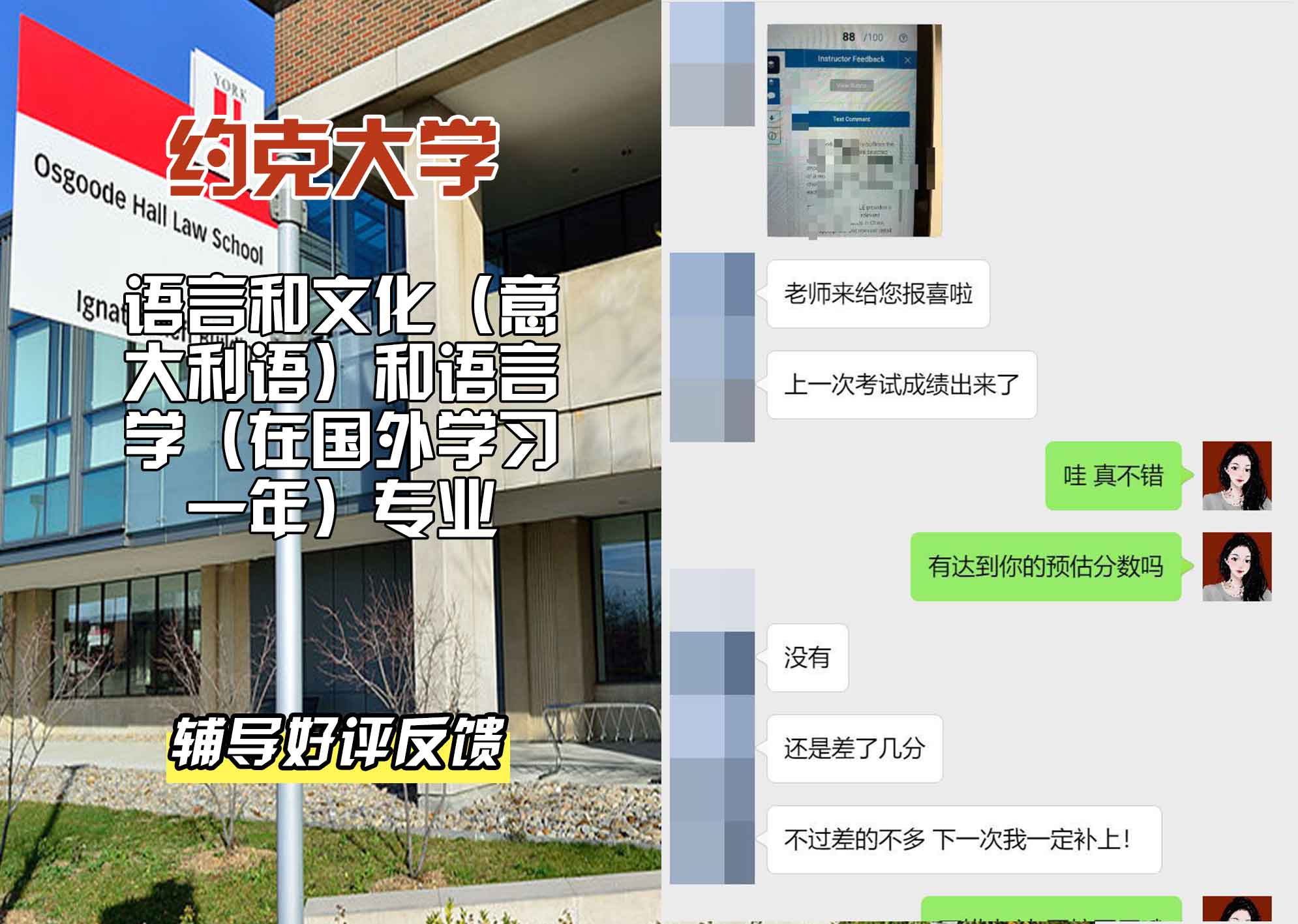 约克大学UOY语言和文化（意大利语）和语言学（在国外学习一年）辅导好评反馈