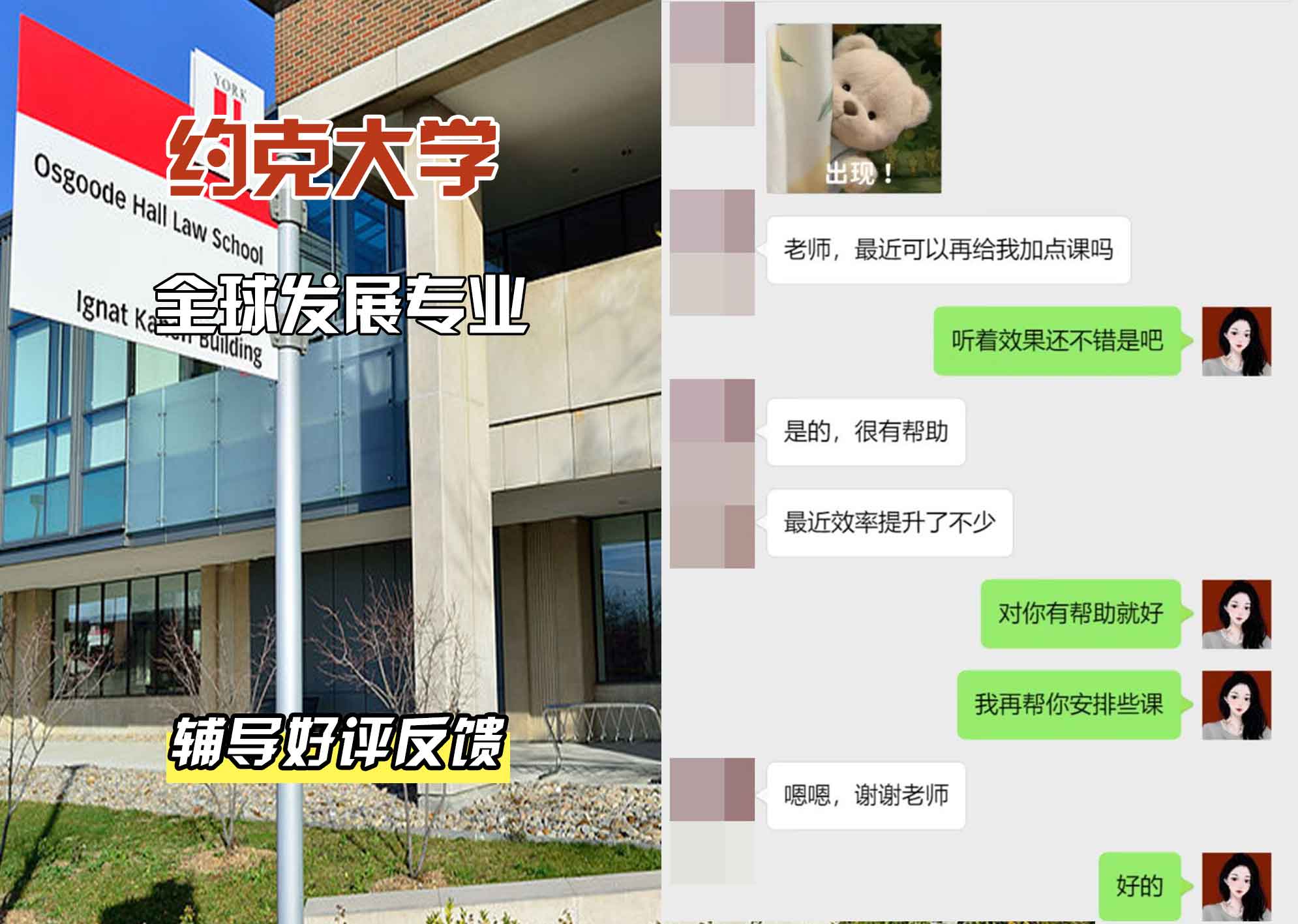 约克大学UOY全球发展辅导好评反馈