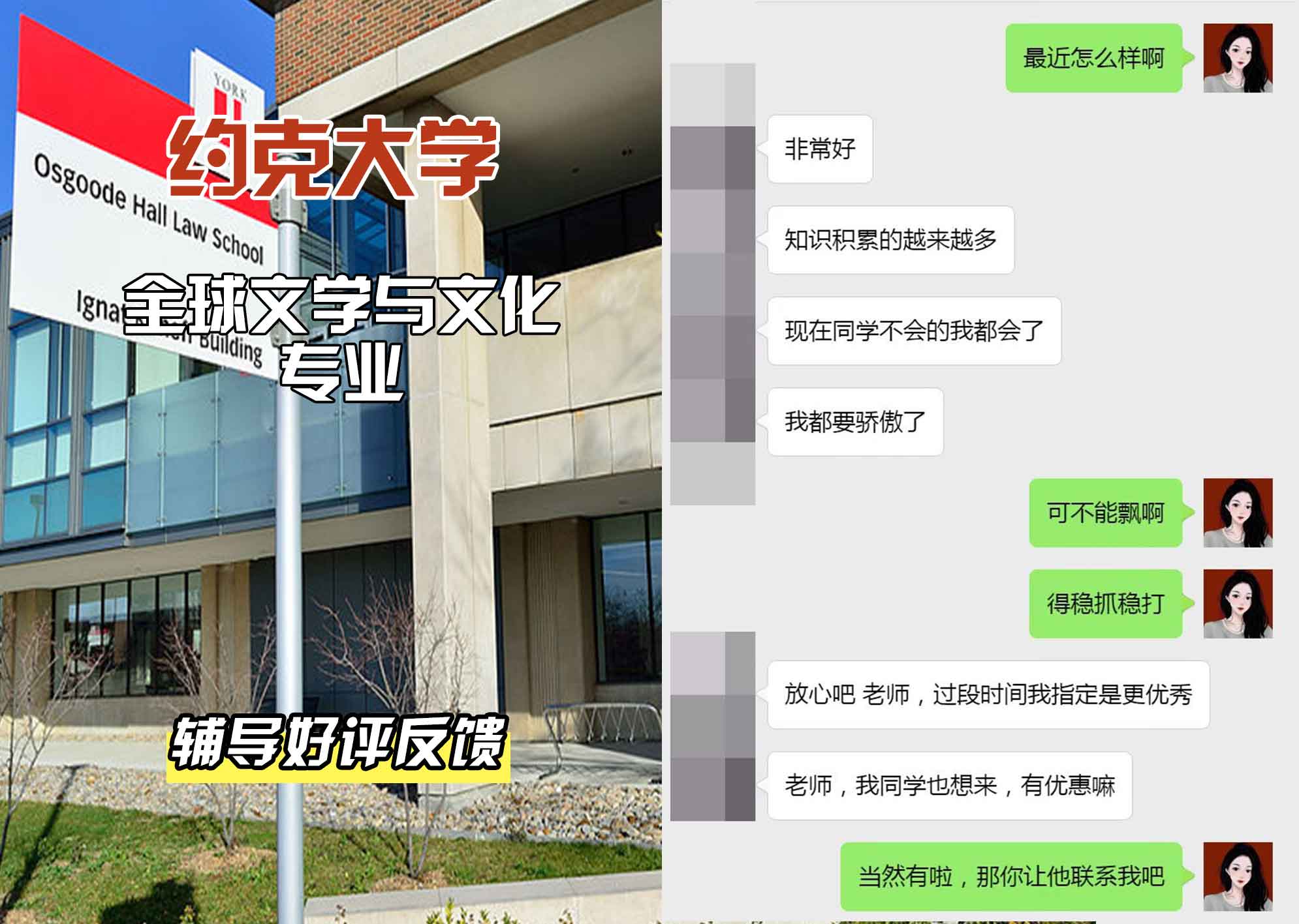 约克大学UOY全球文学与文化辅导好评反馈